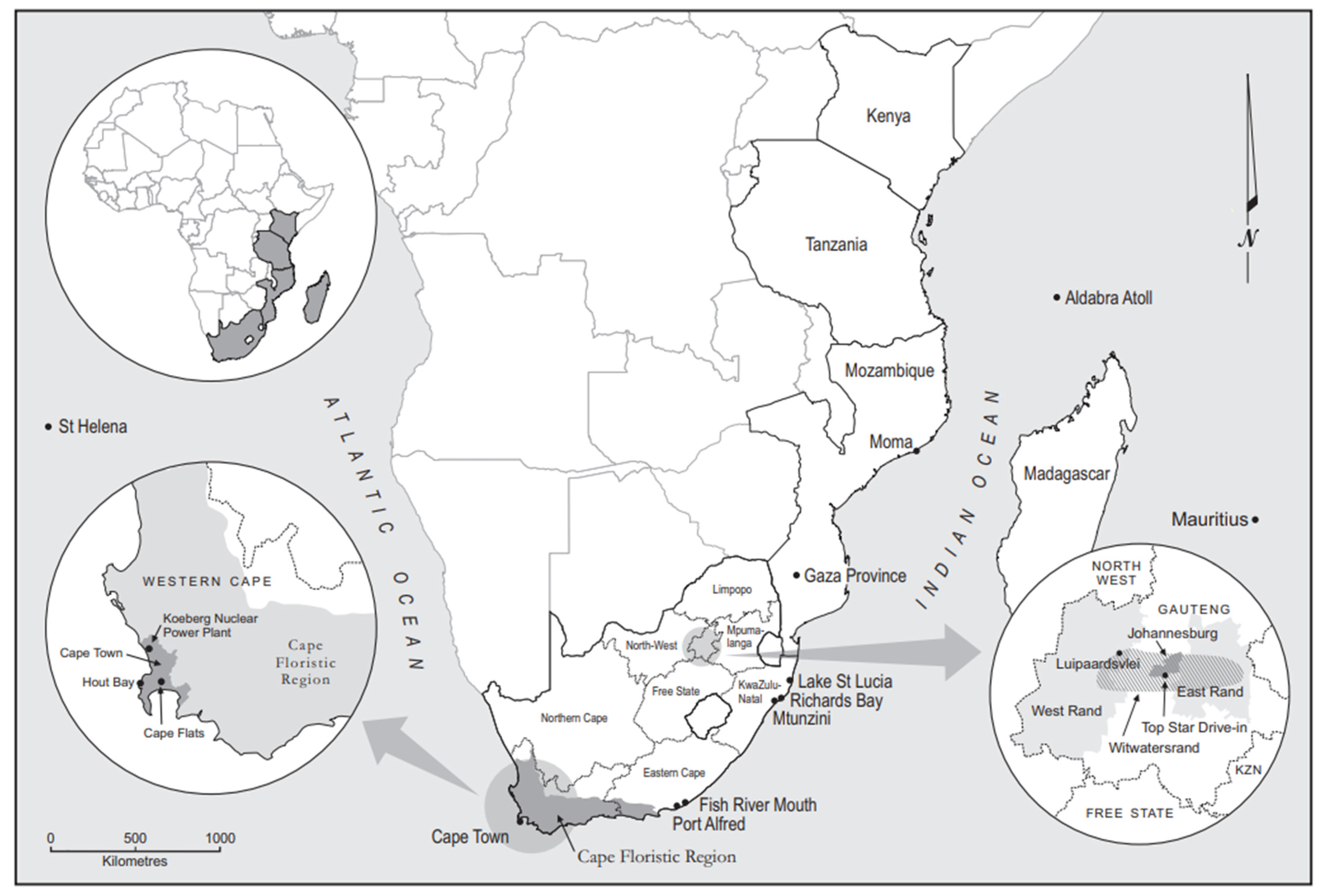 Grasses 02 00018 g001