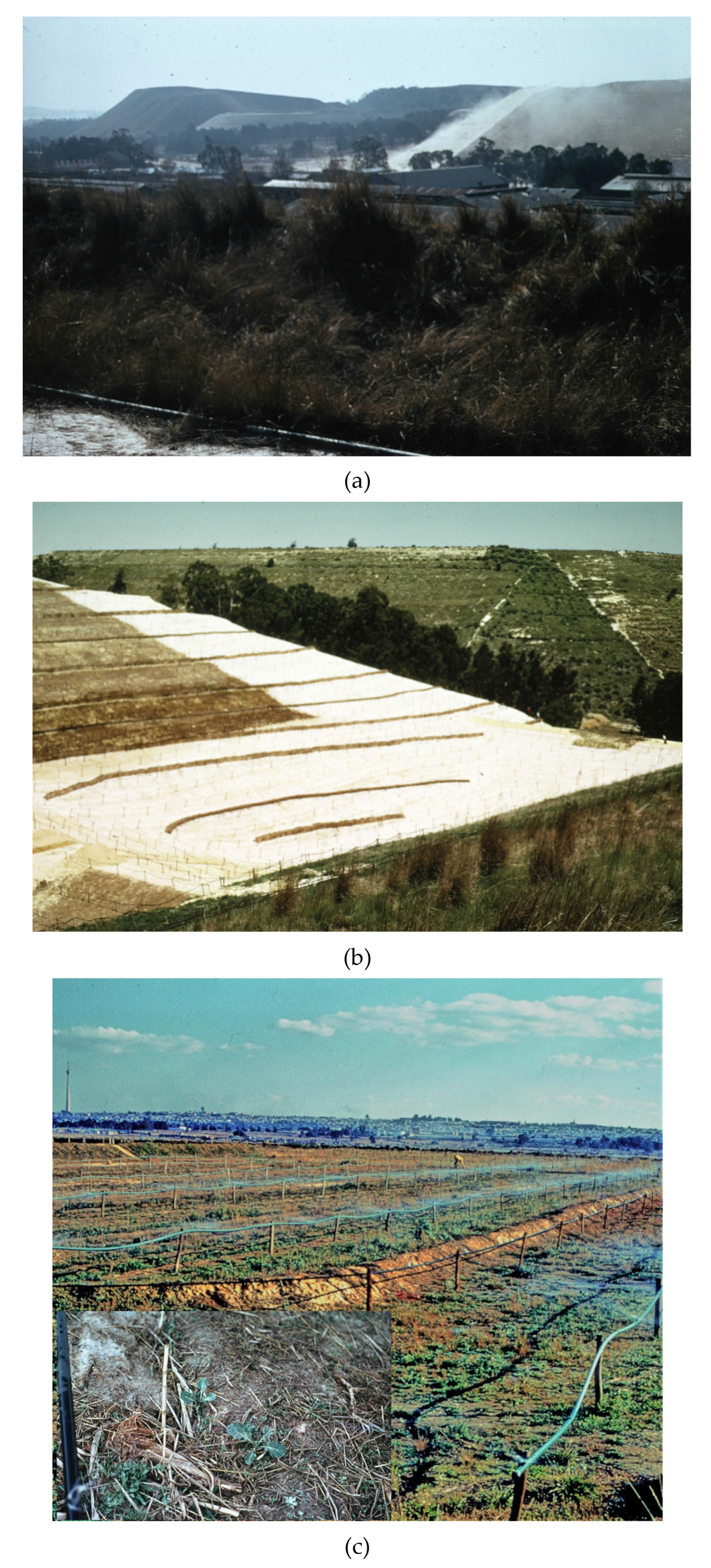 Grasses 02 00018 g003a