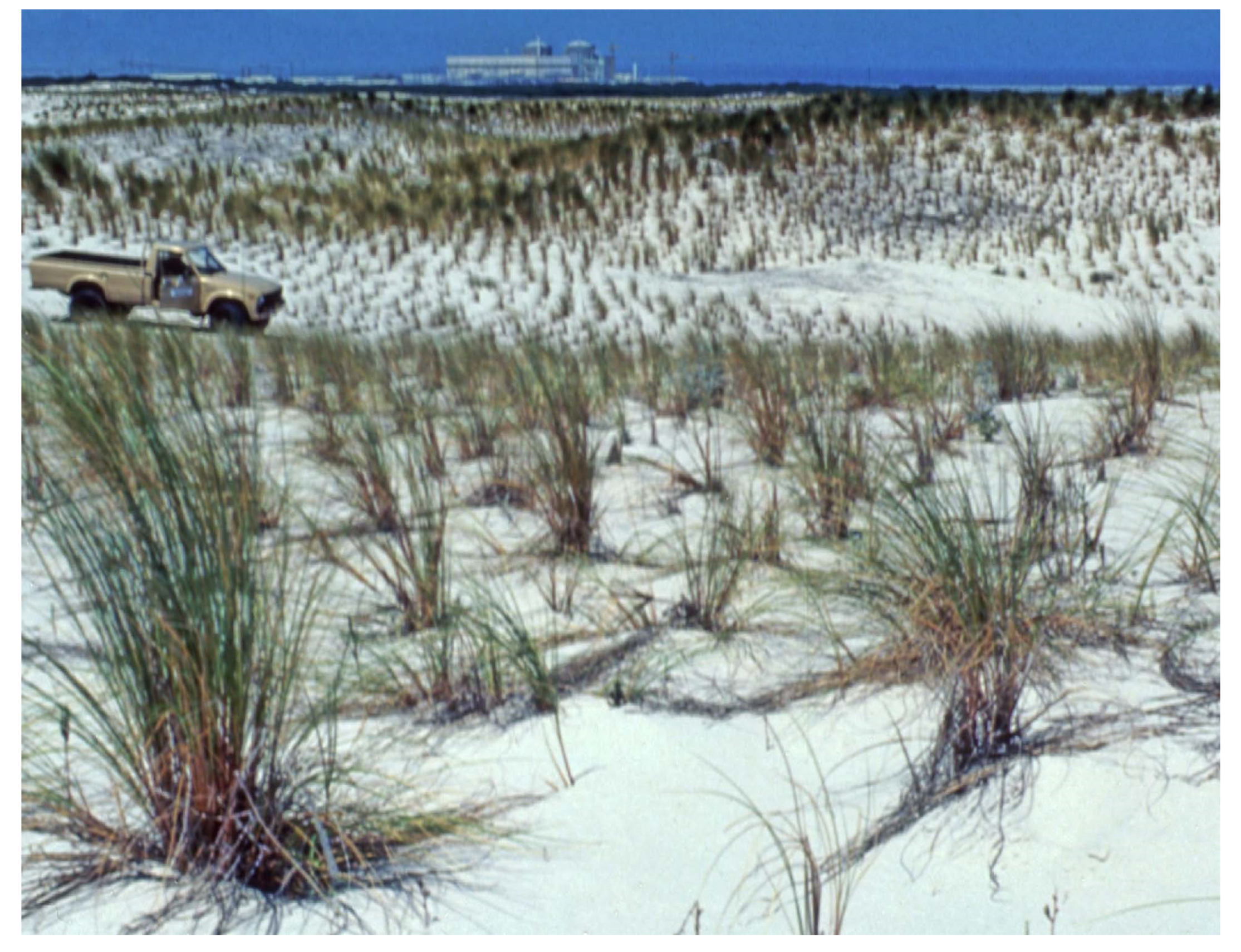 Grasses 02 00018 g006