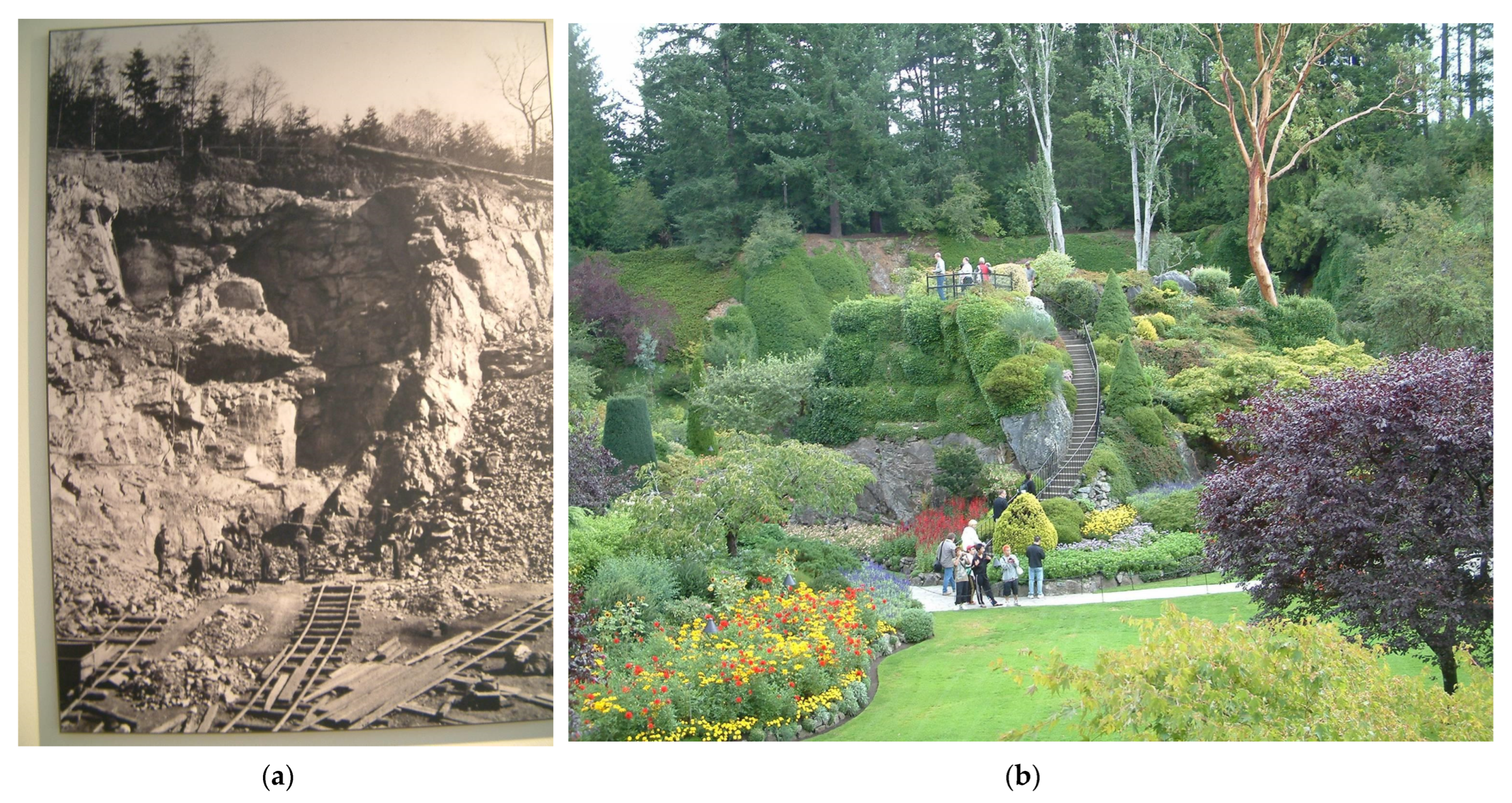 Grasses 02 00018 g007