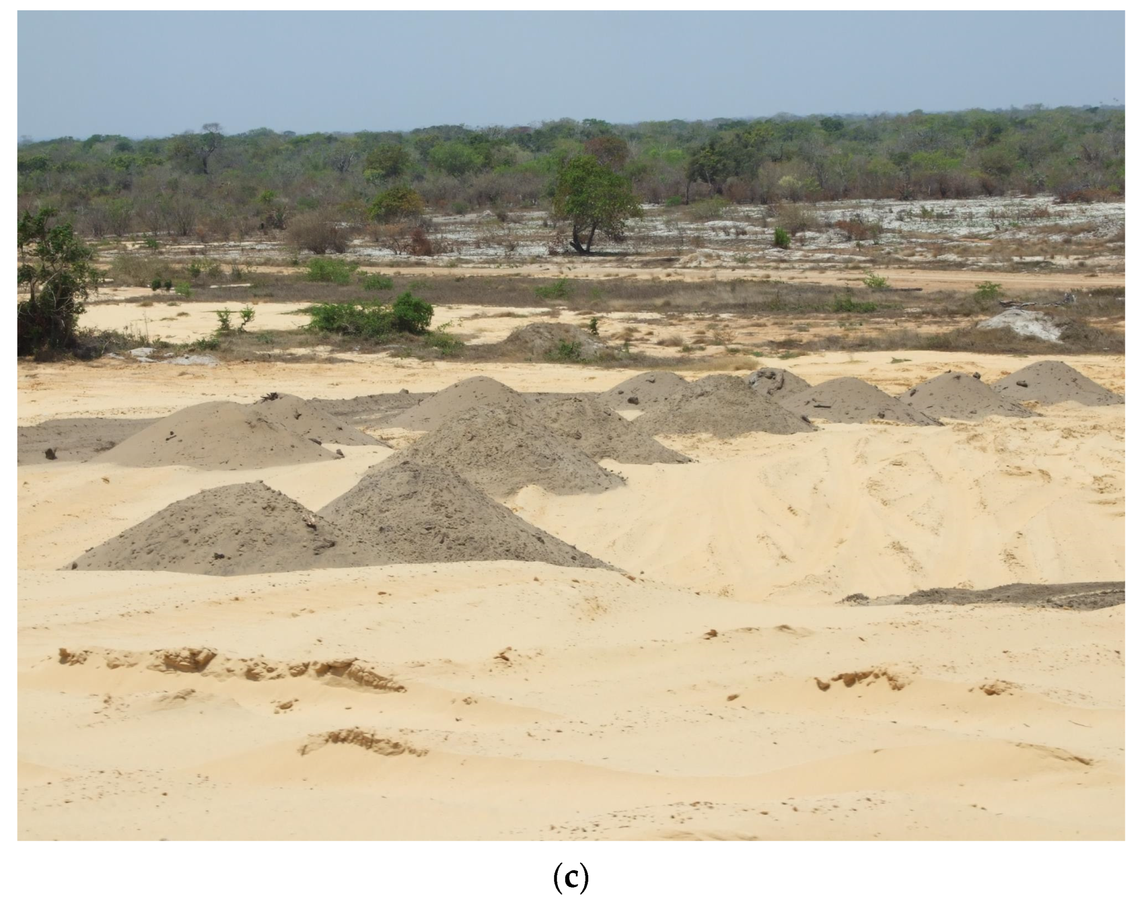 Grasses 02 00018 g008b