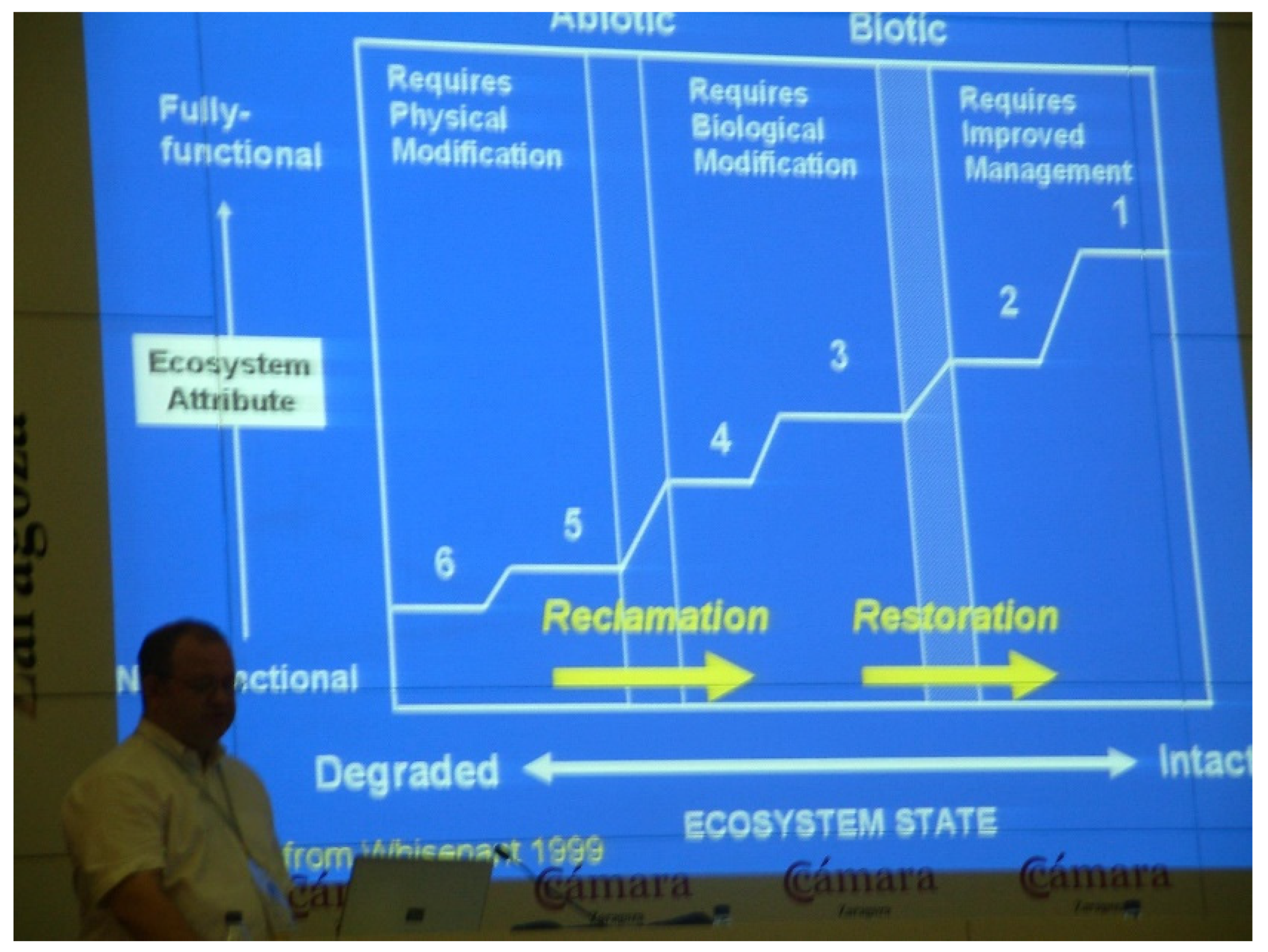 Grasses 02 00018 g010