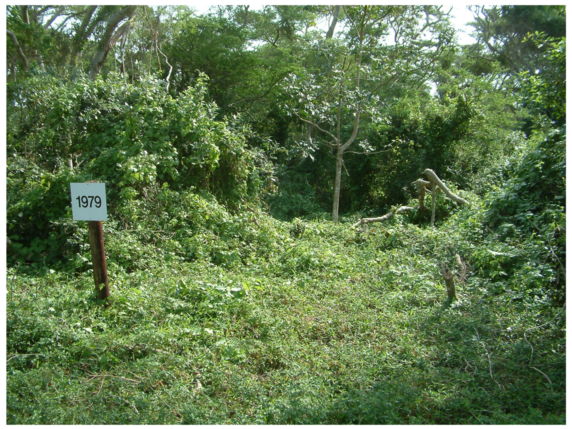 Grasses 02 00018 g014