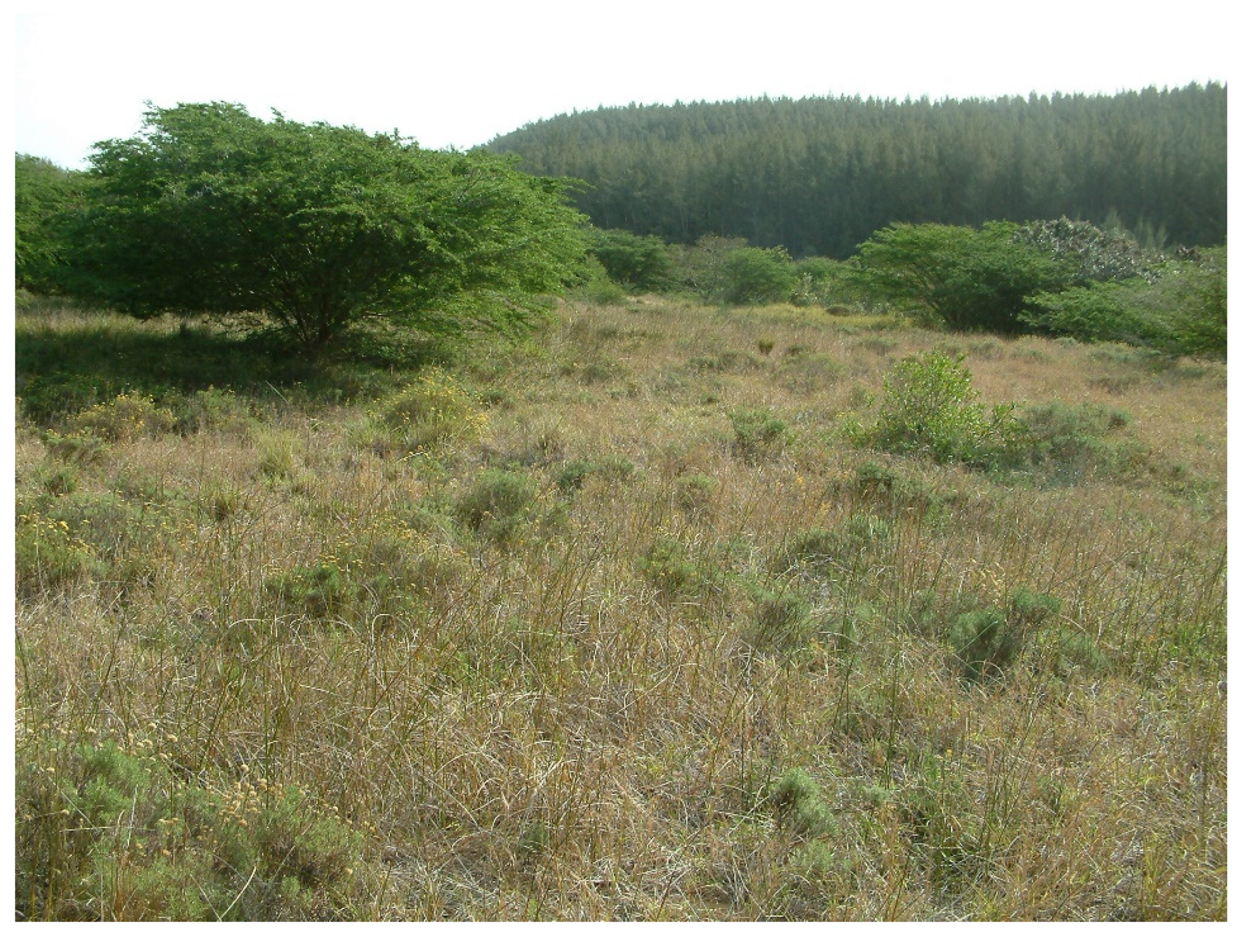 Grasses 02 00018 g015