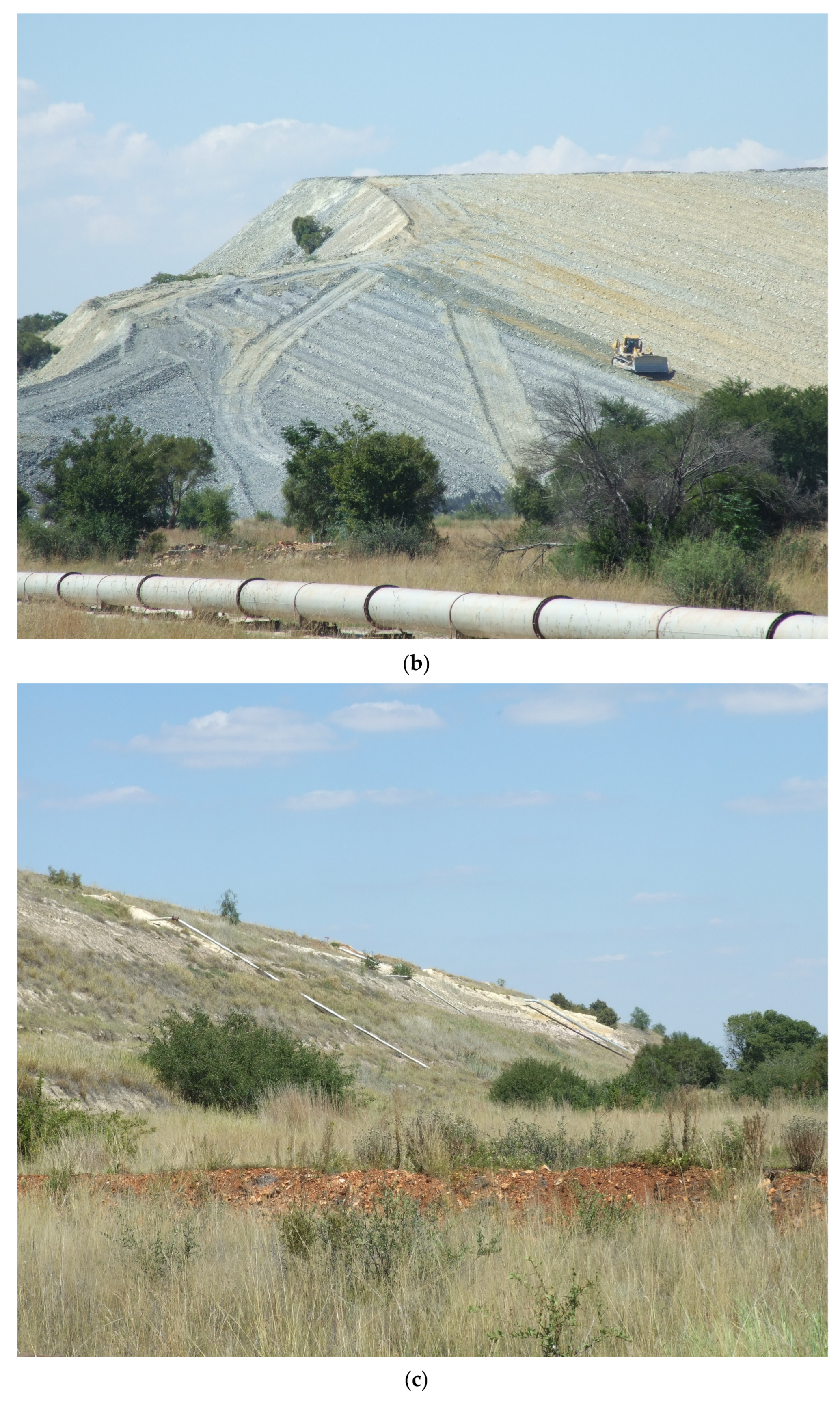 Grasses 02 00018 g016b