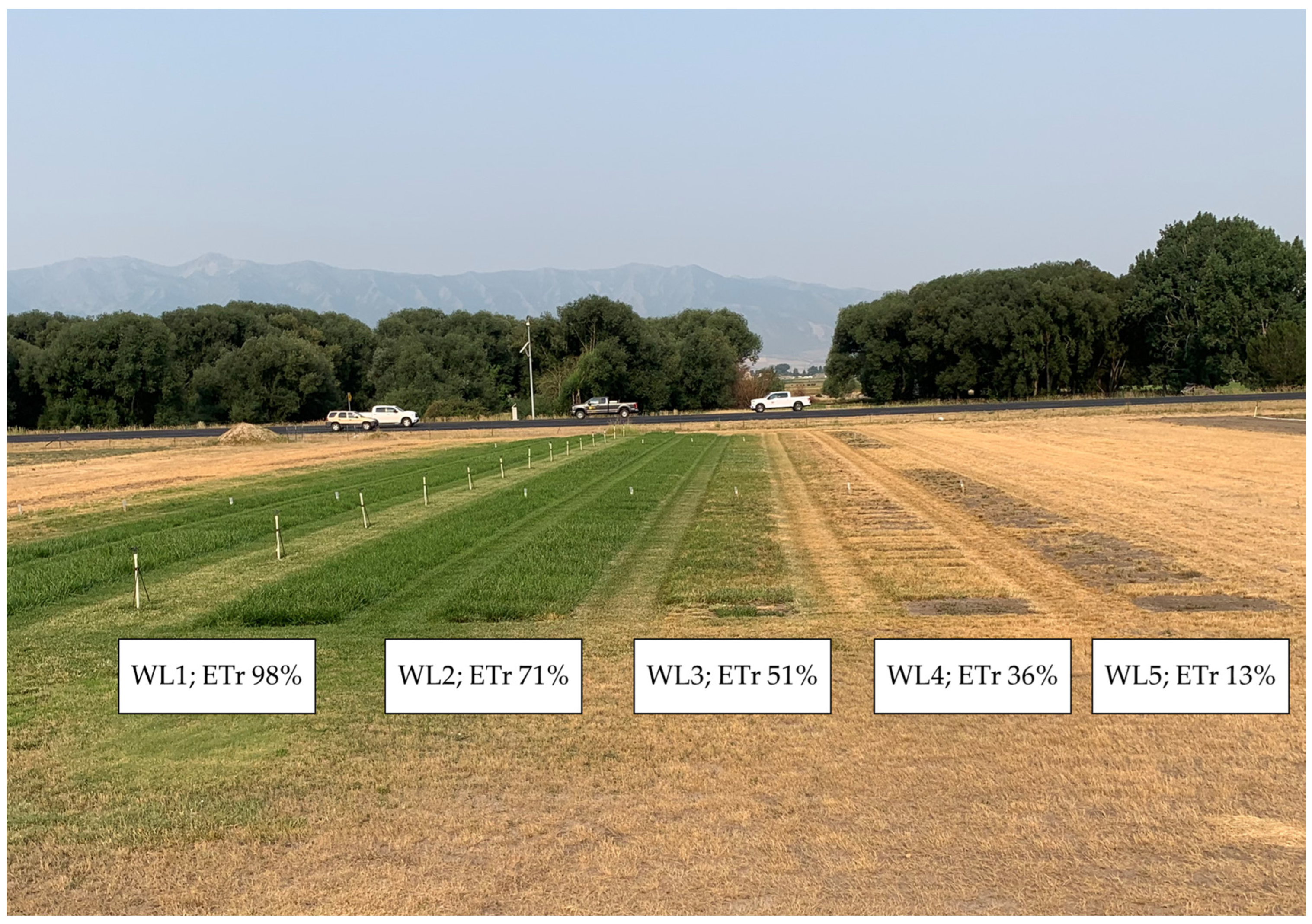 Grasses 02 00019 g002