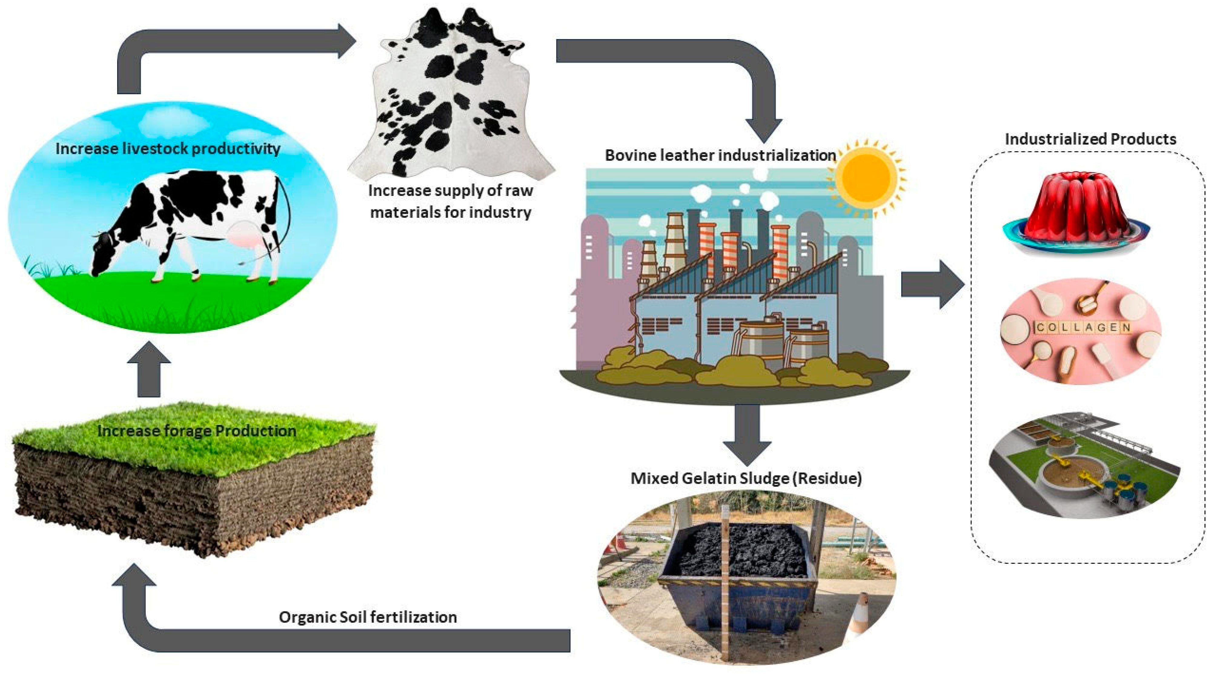 Grasses 03 00005 g001 Grasses 03 00005 g001