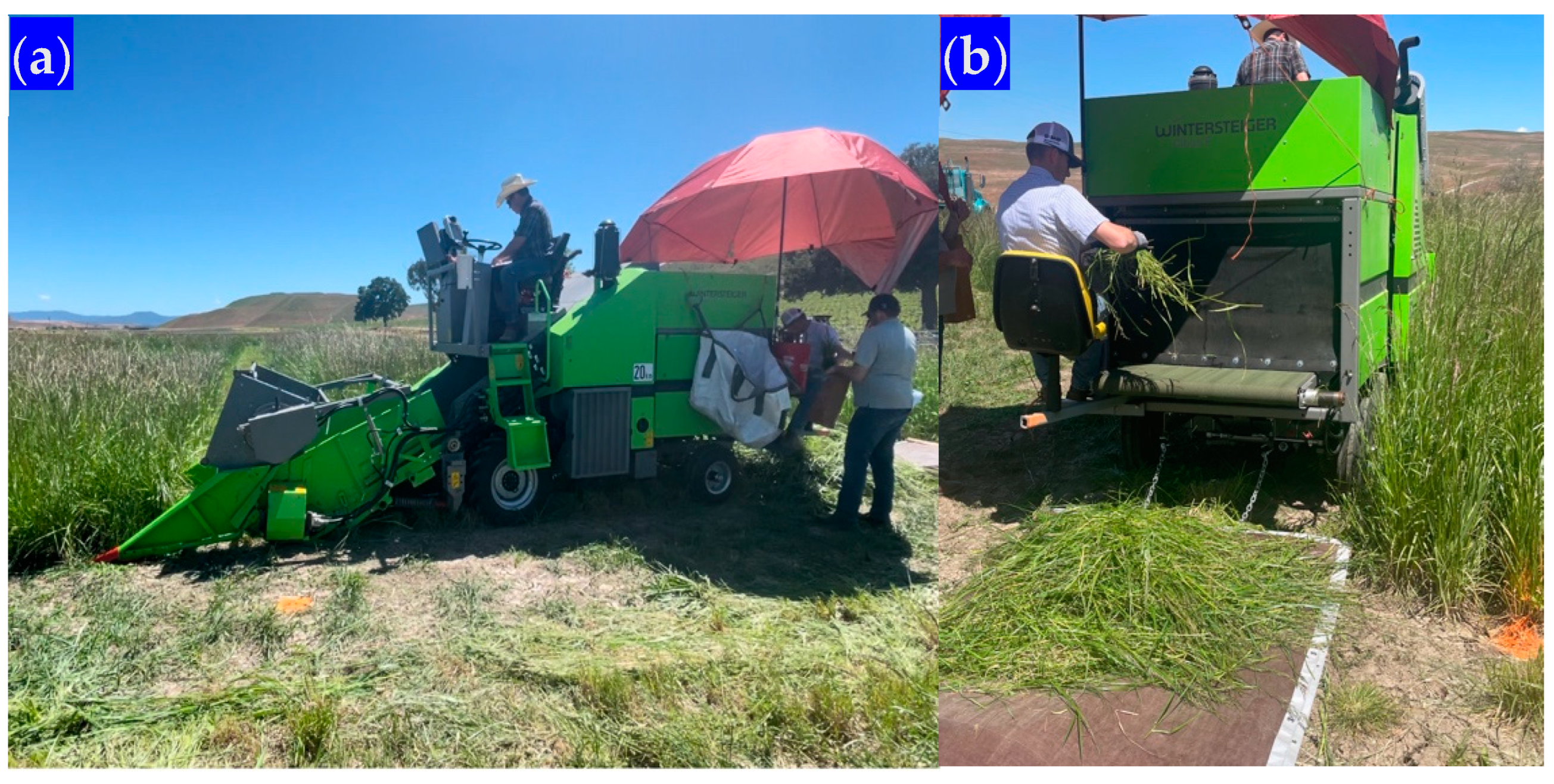 Grasses 03 00007 g002