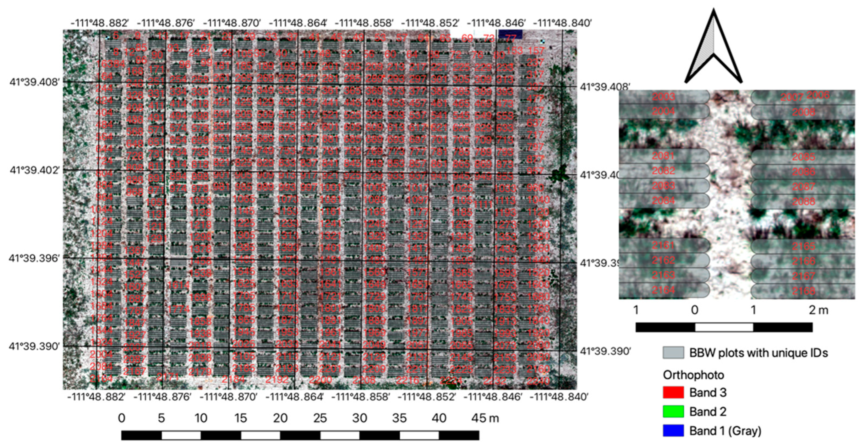 Grasses 03 00007 g004