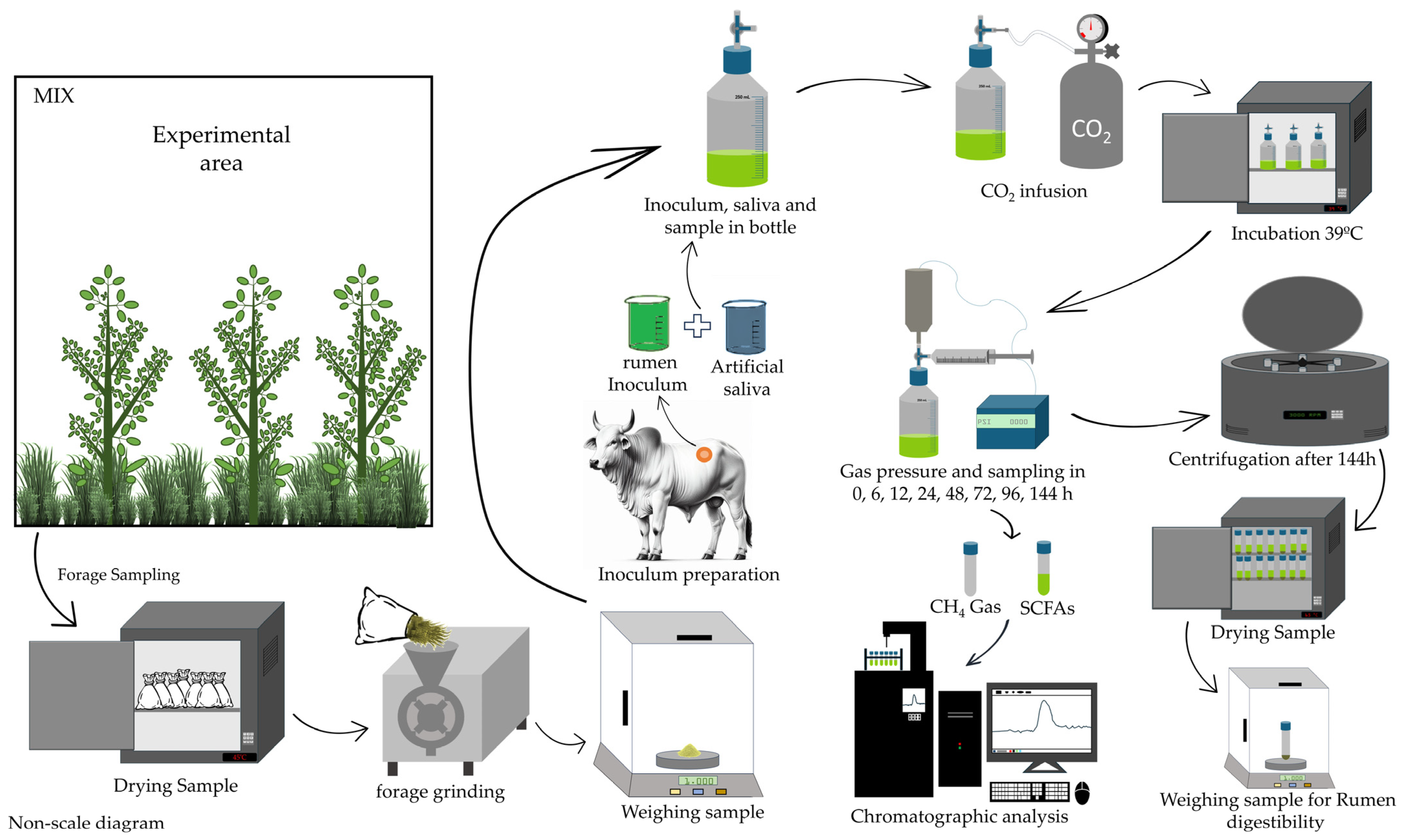 Grasses 03 00018 g001