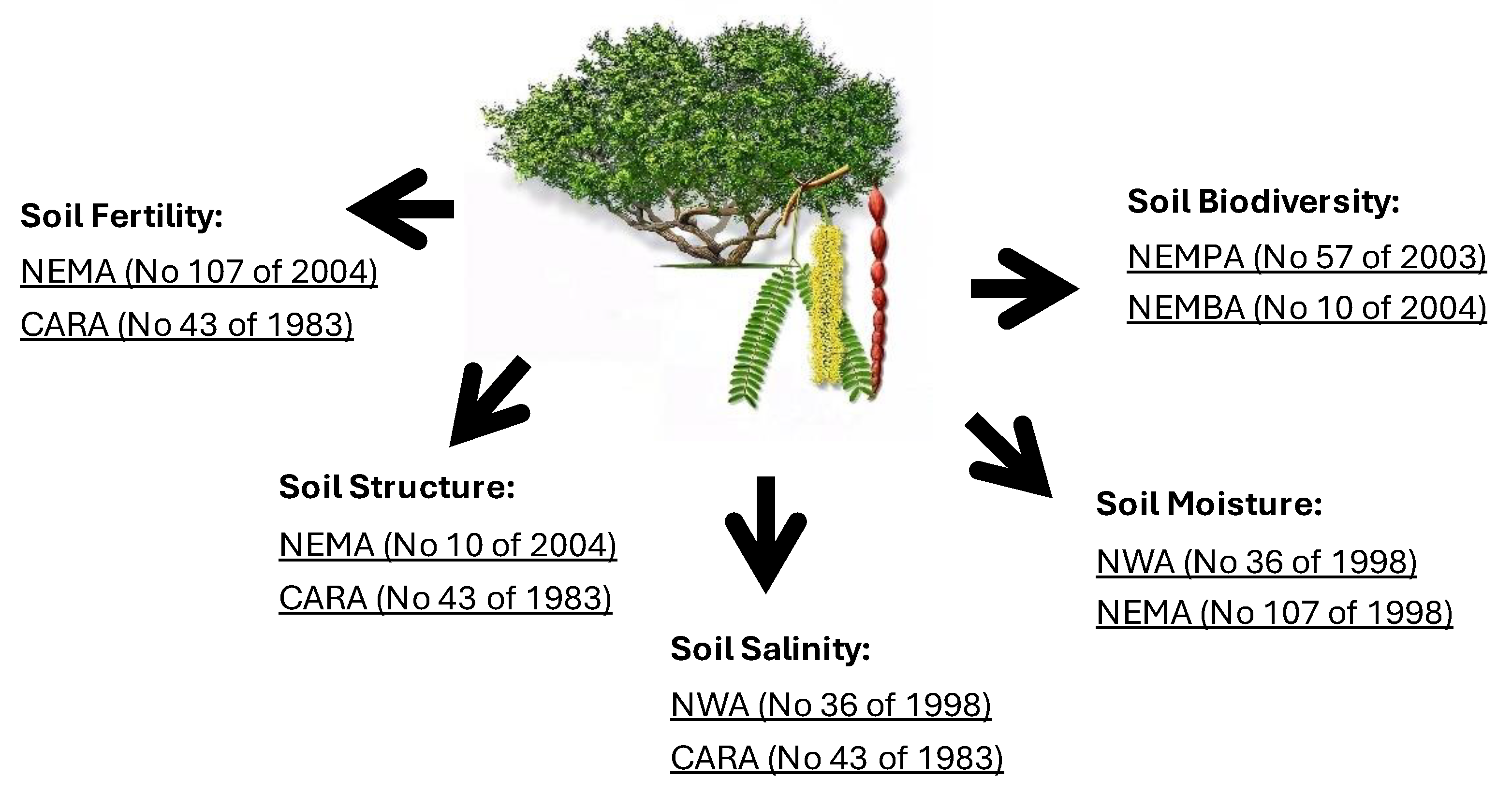 Grasses 04 00002 g006