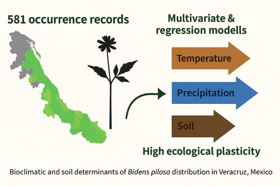 Maxent distribution model for B. pilosa in the state of Veracruz, Mexico. Suitability is represented on a scale from 0 to 1, where values close to 1 indicate a high probability of species occurrence.
