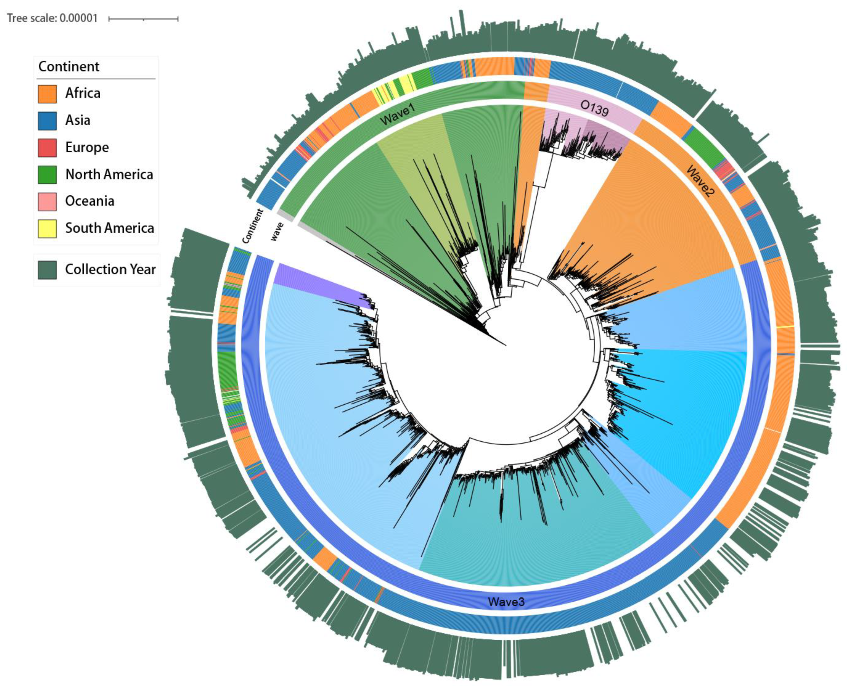 Greenhealth 02 00005 g001