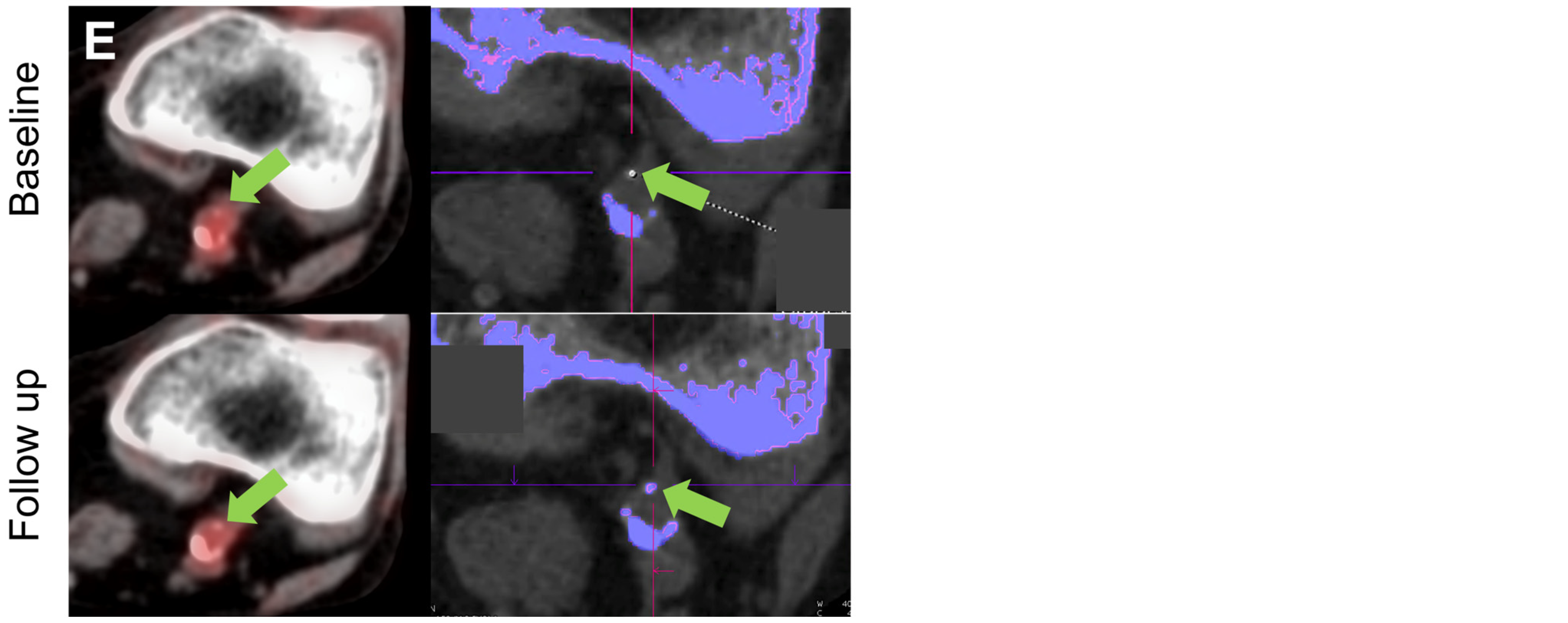 Gucdd 02 00024 g004b