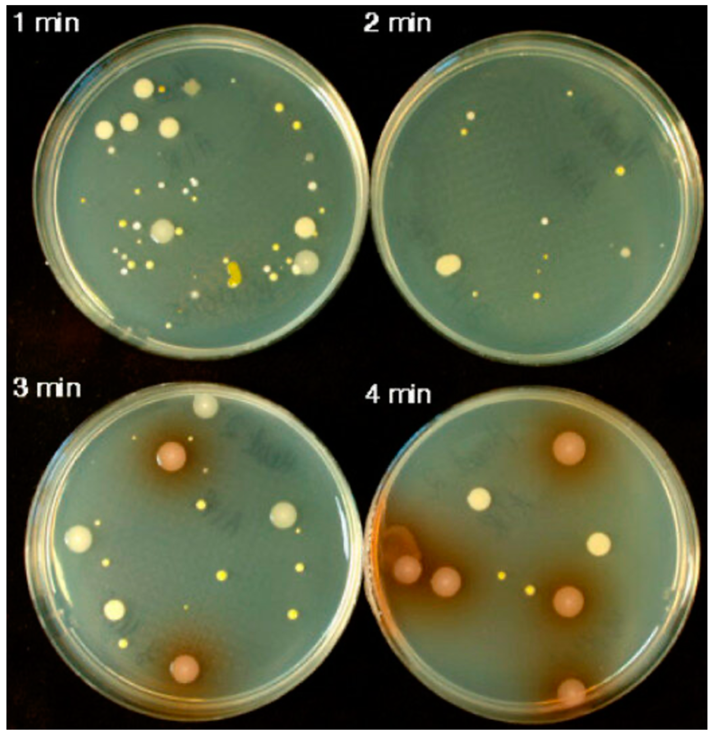 Hardware 03 00004 g001