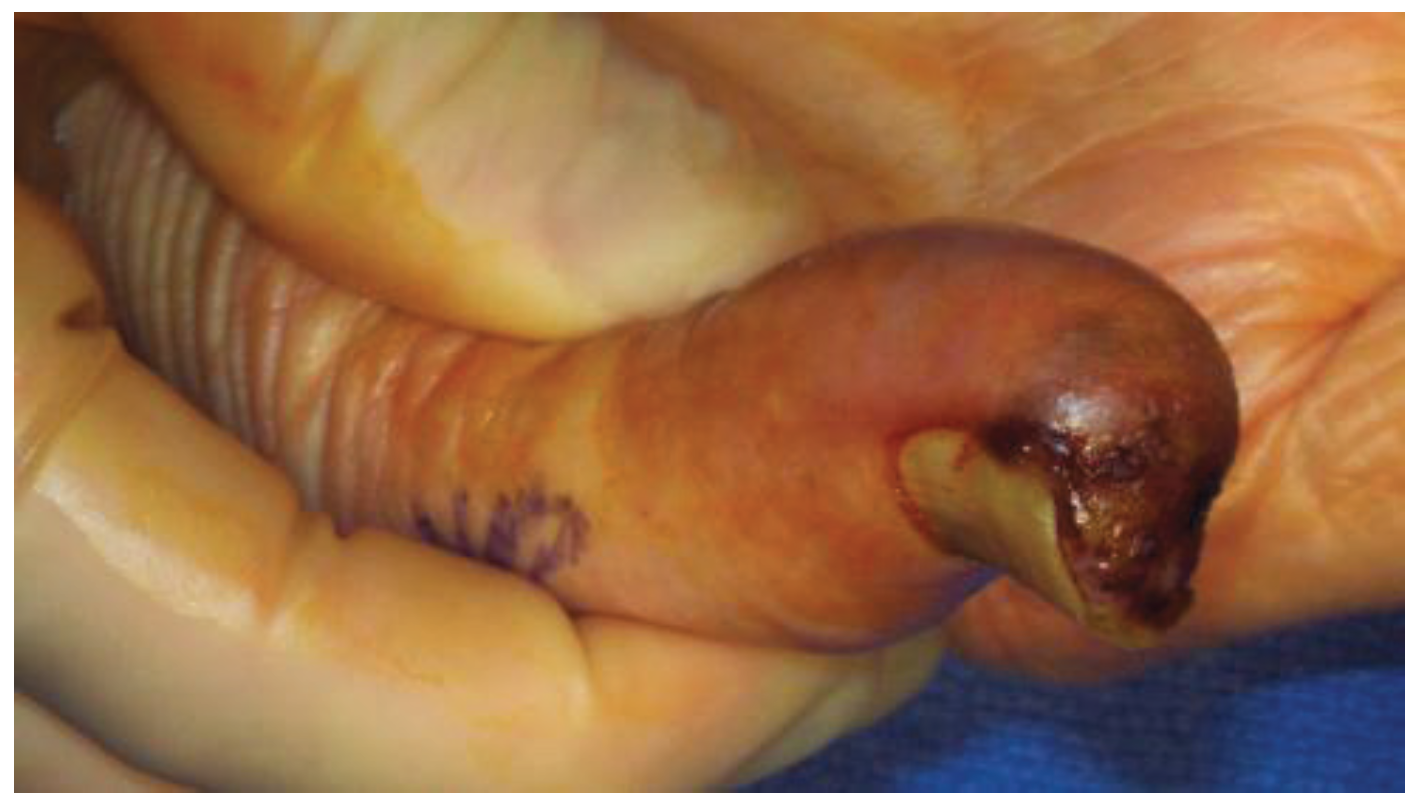 Healthcare 02 00125 g002