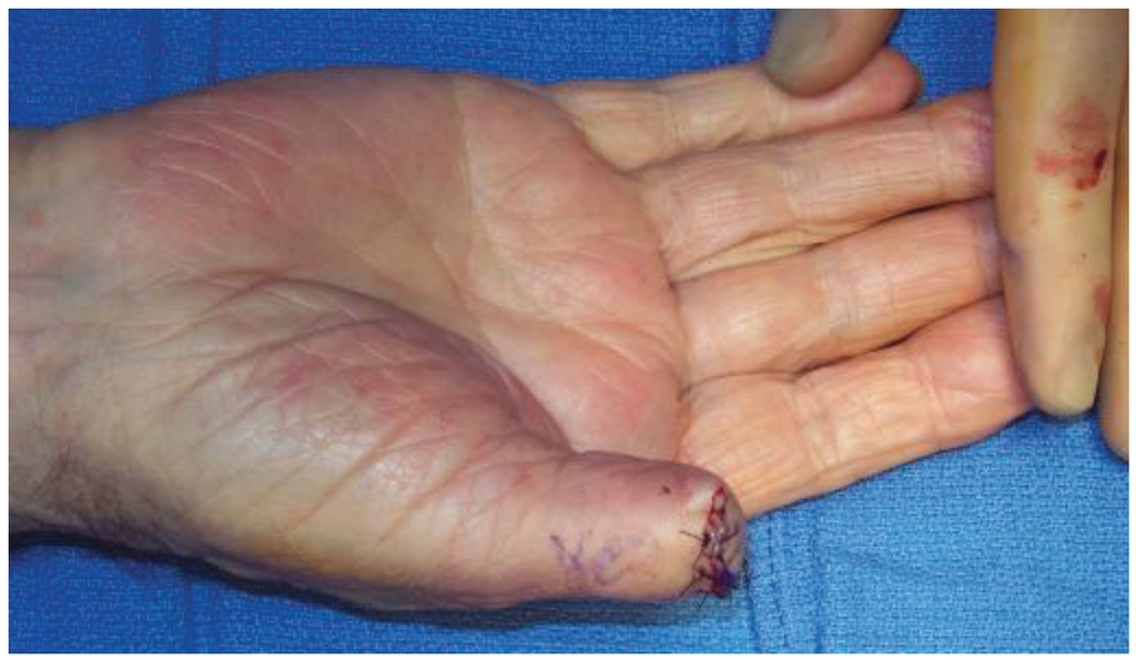 Healthcare 02 00125 g003 1024