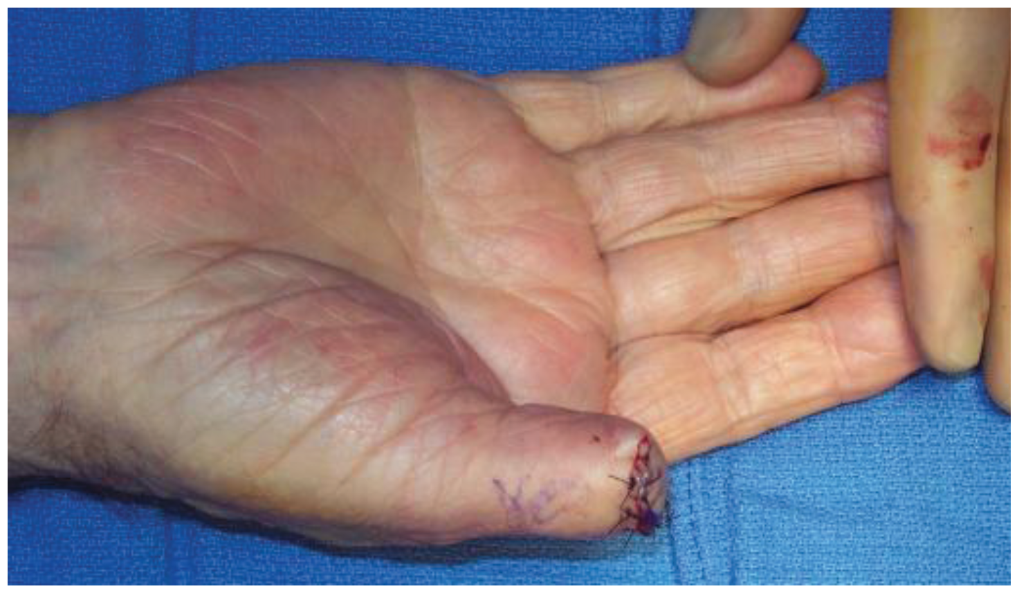 Healthcare 02 00125 g003