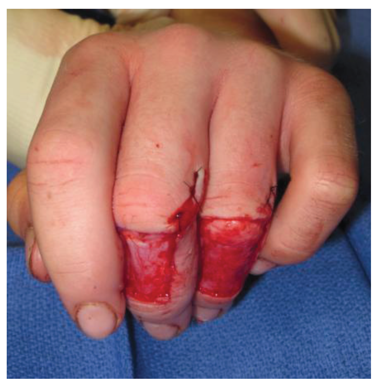 Healthcare 02 00125 g005