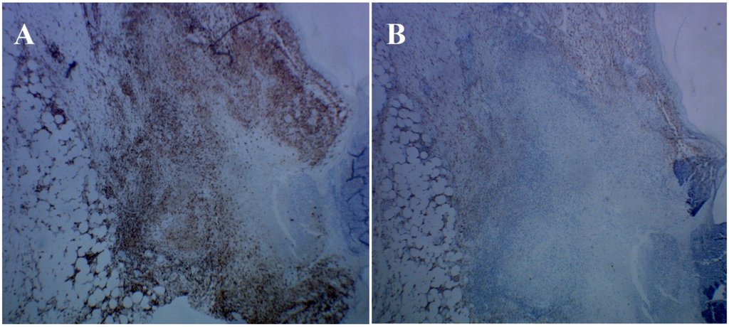 Healthcare 02 00338 g005 1024