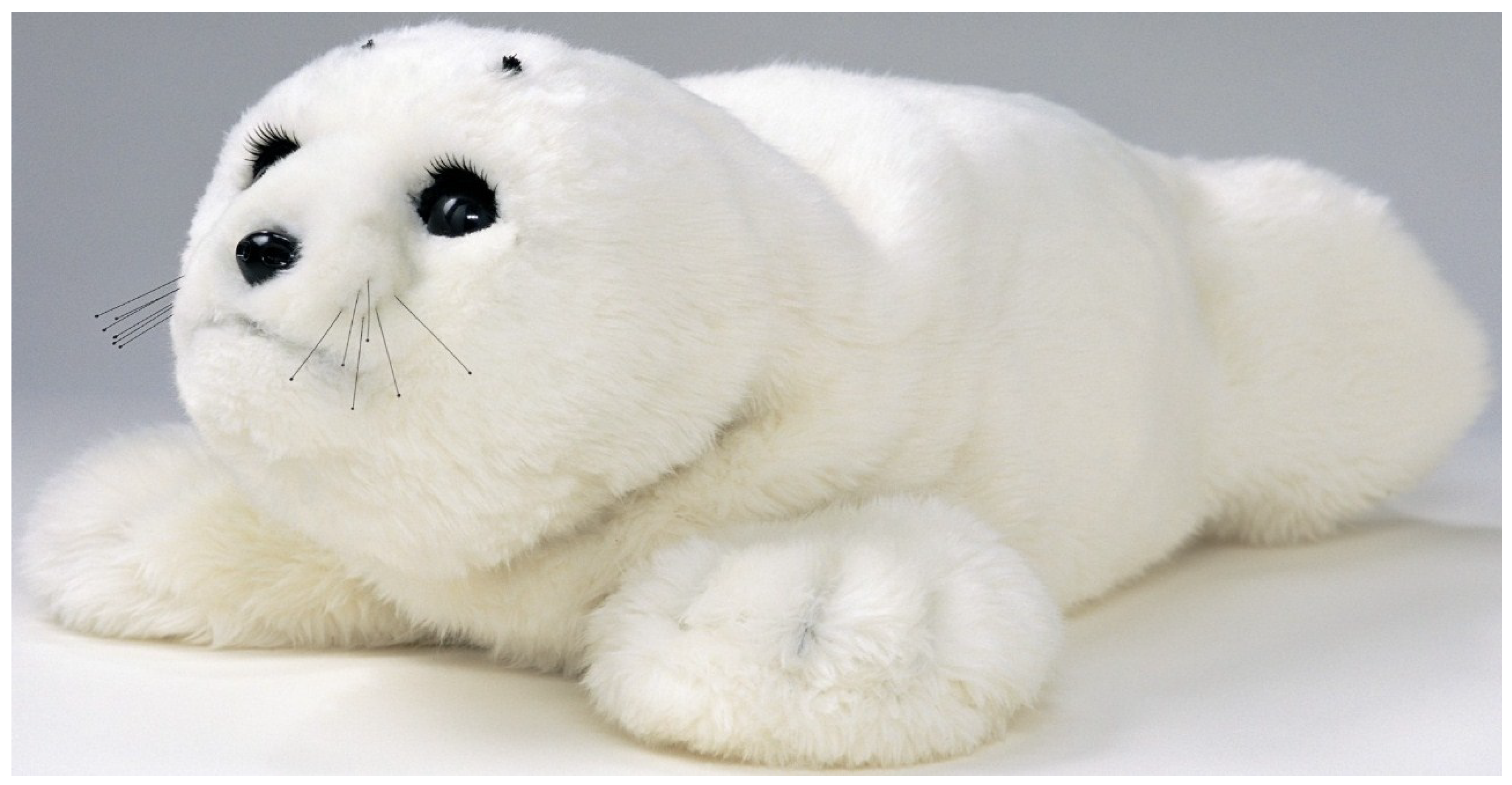 Healthcare 03 00252 g002