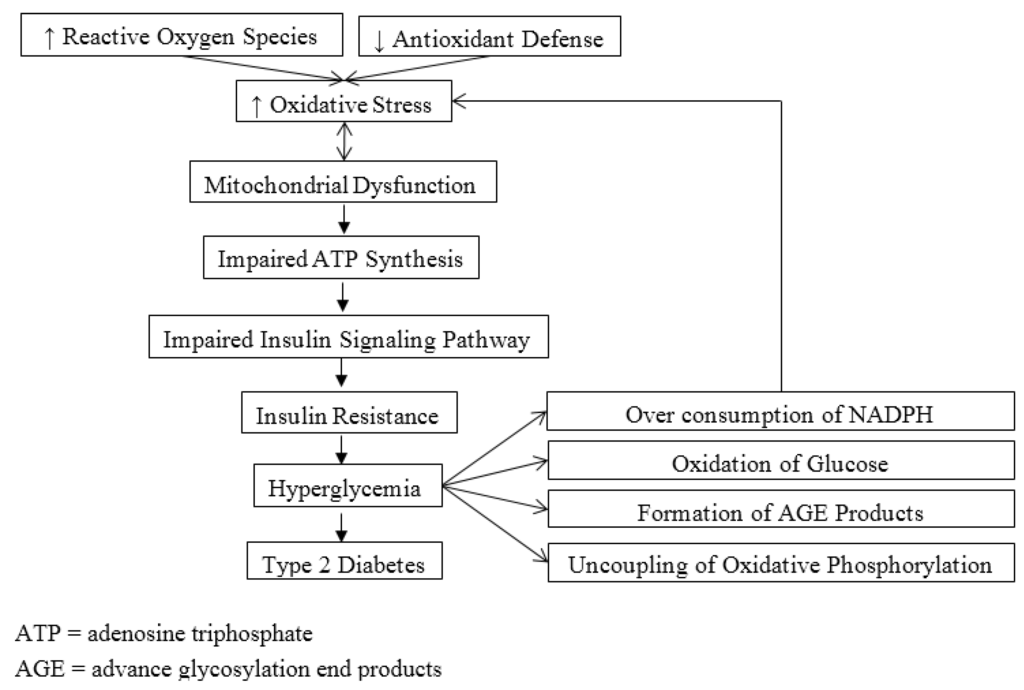 Healthcare 03 00296 g001 1024