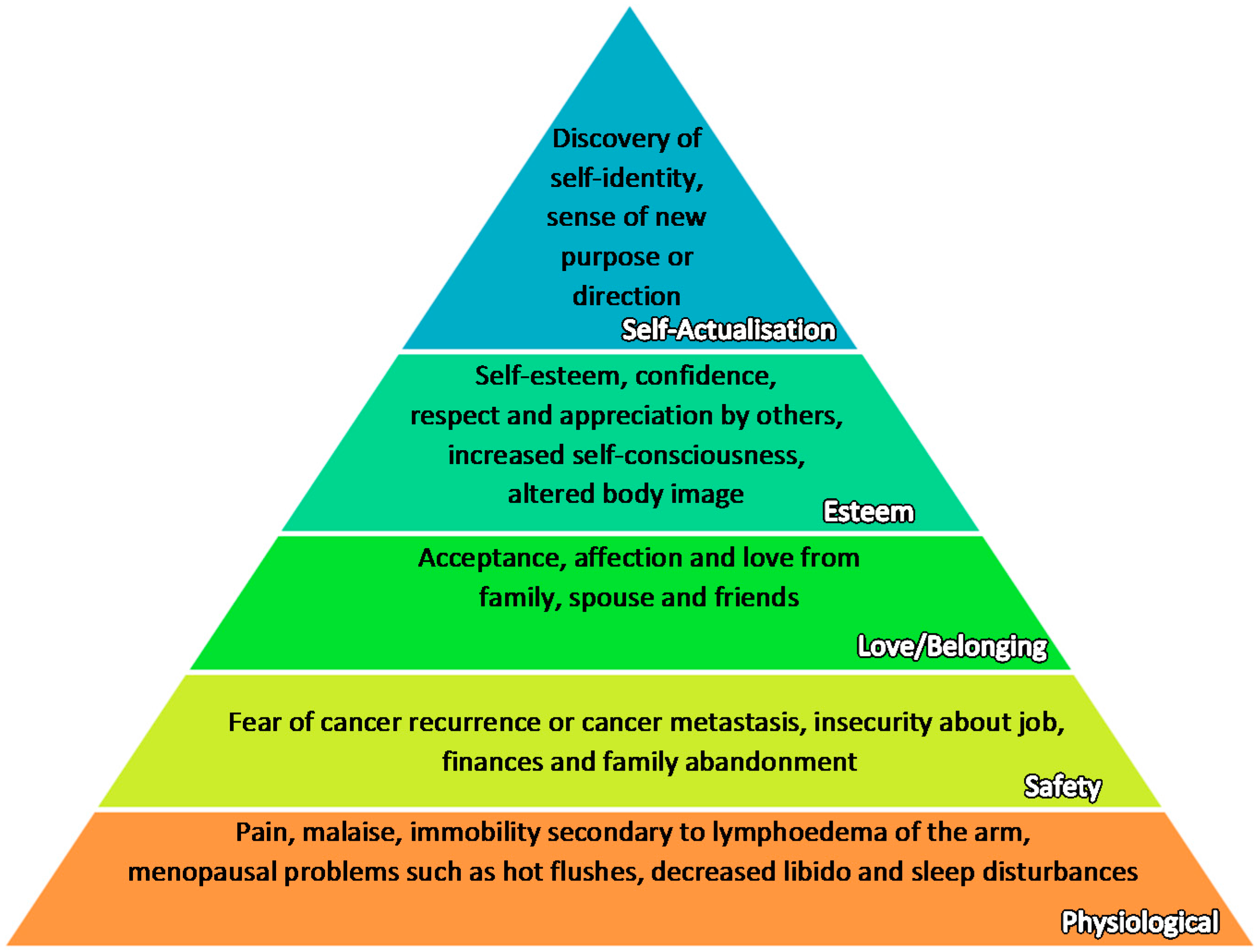 Healthcare 05 00026 g001