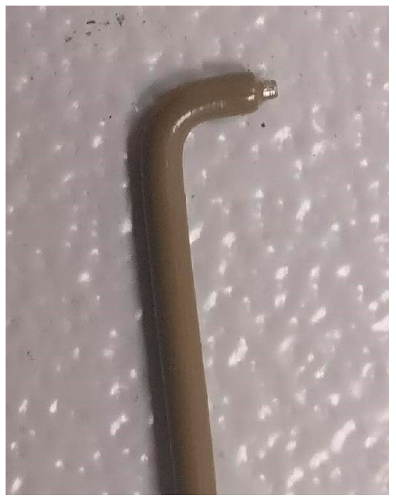 Healthcare 06 00014 g002