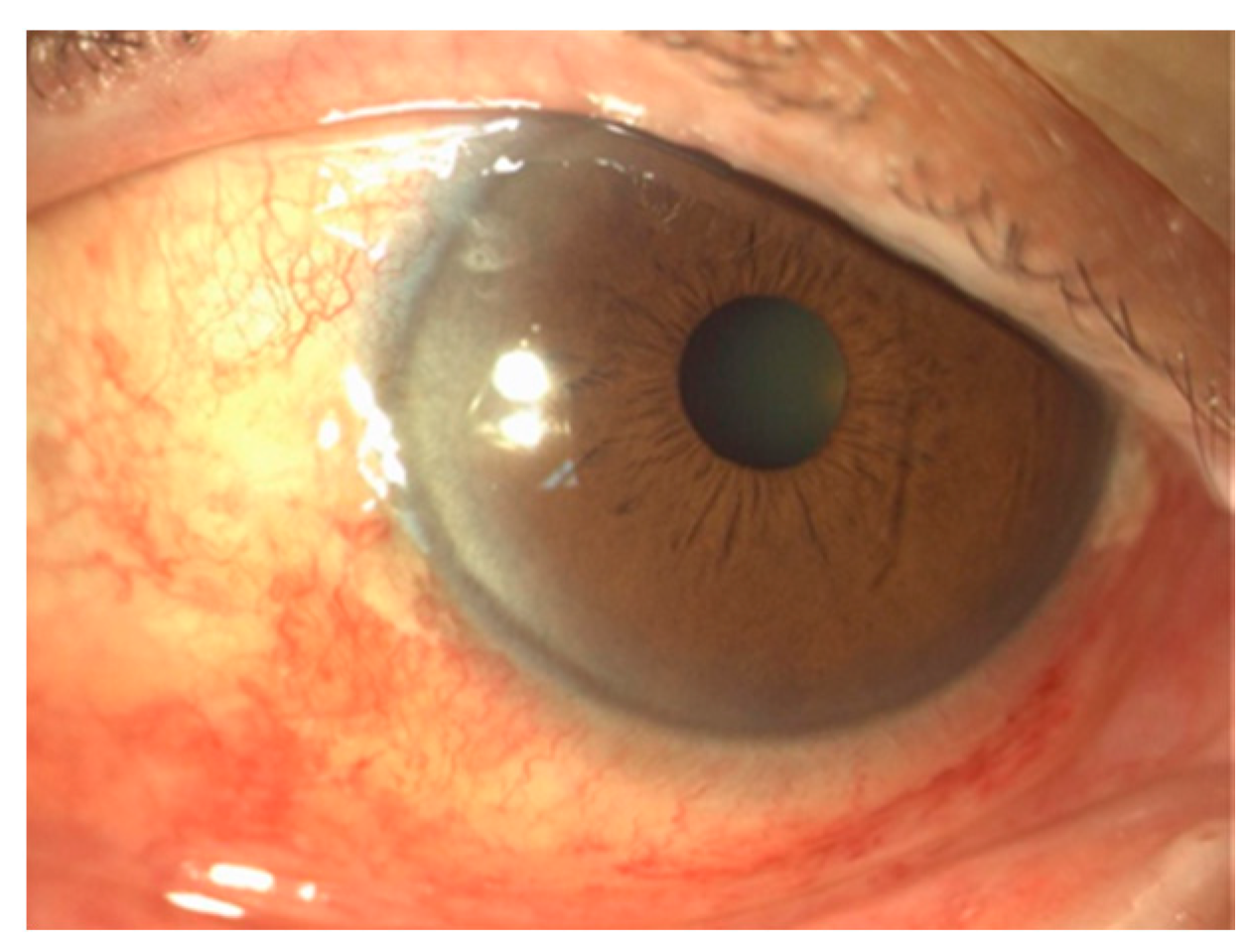 Healthcare 06 00014 g003