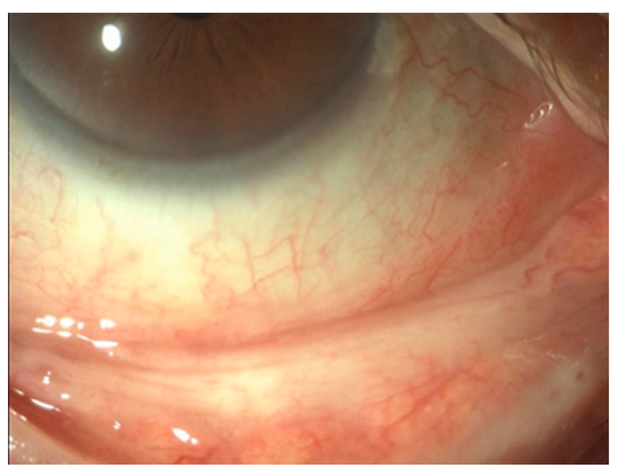 Healthcare 06 00014 g004