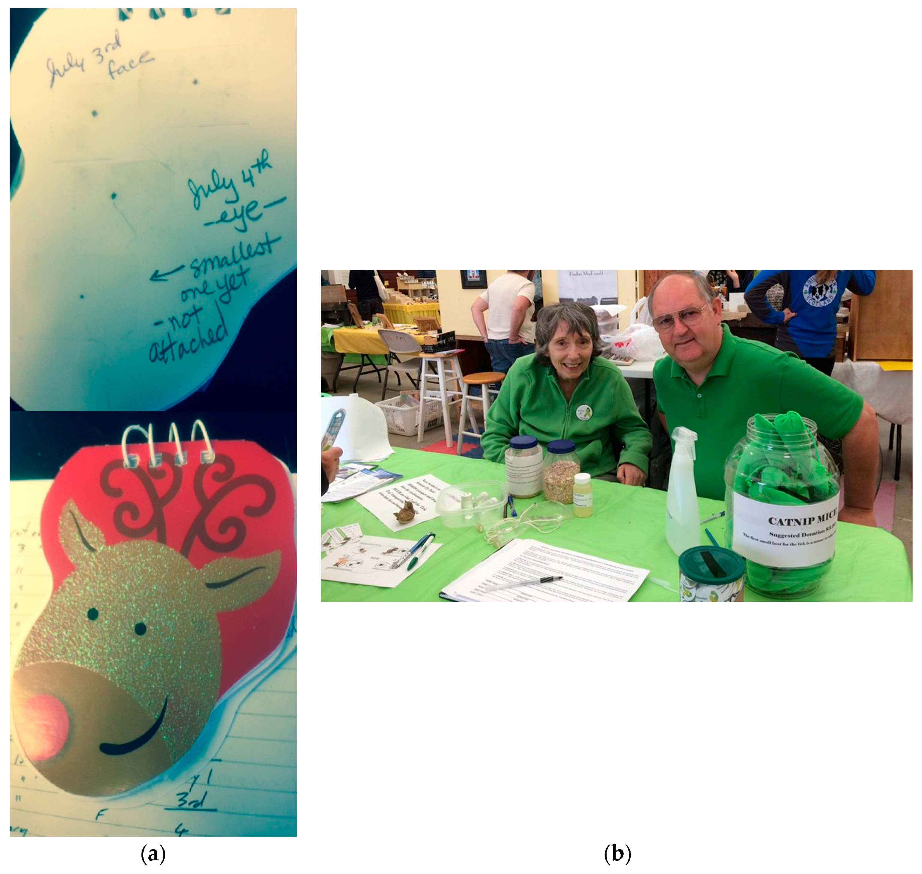 Healthcare 06 00022 g002