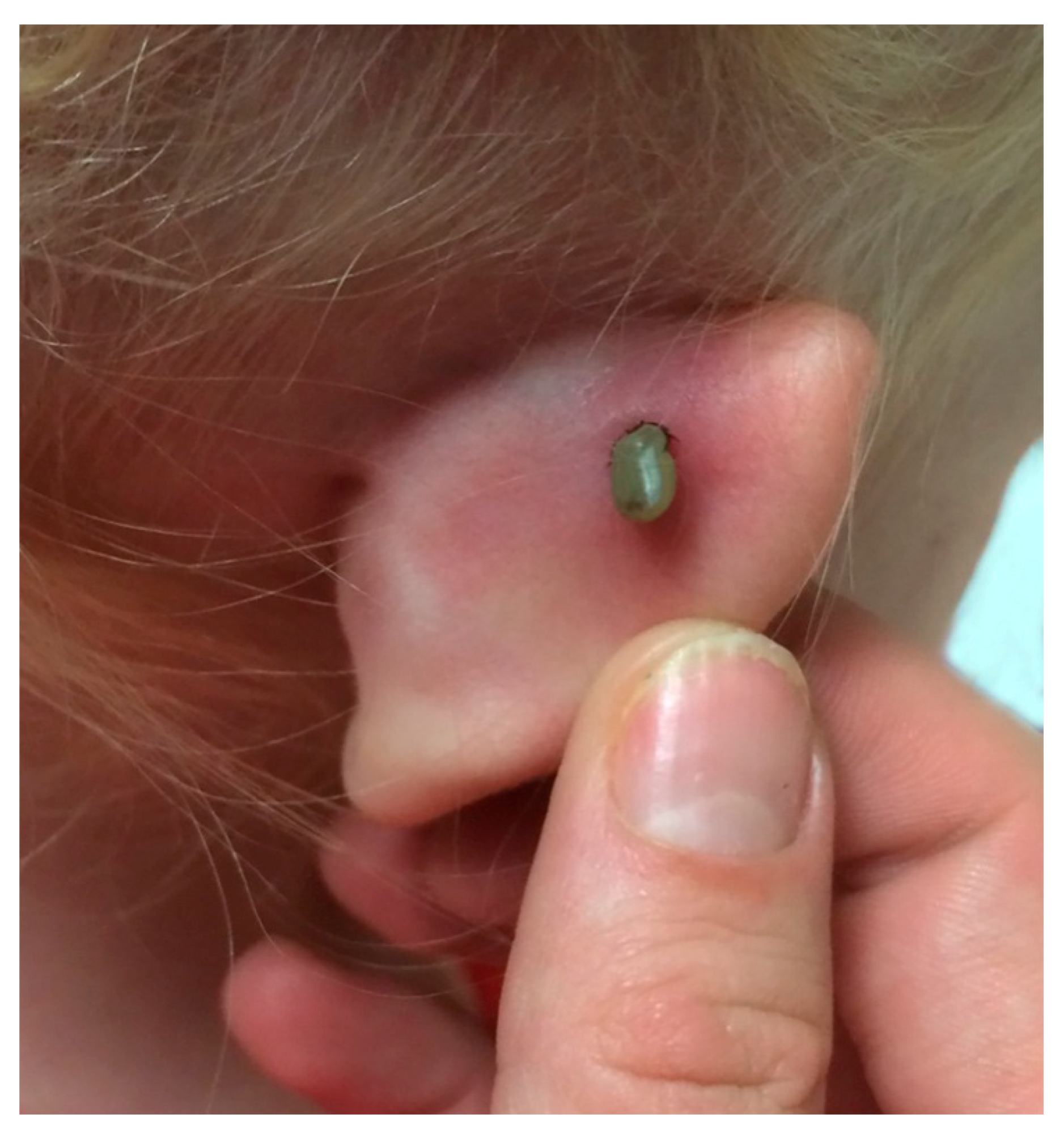 Healthcare 06 00049 g001