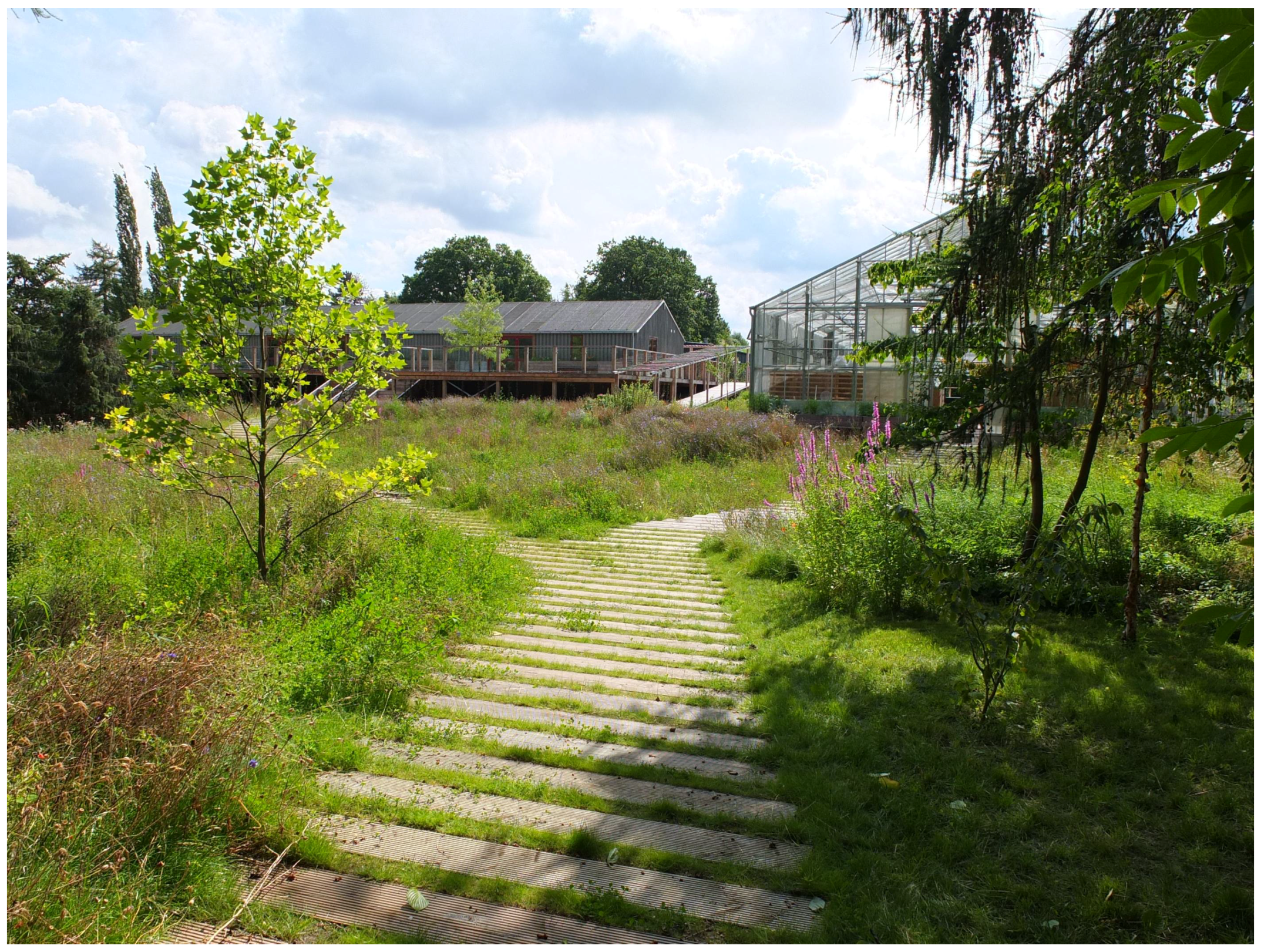 Healthcare 06 00064 g002