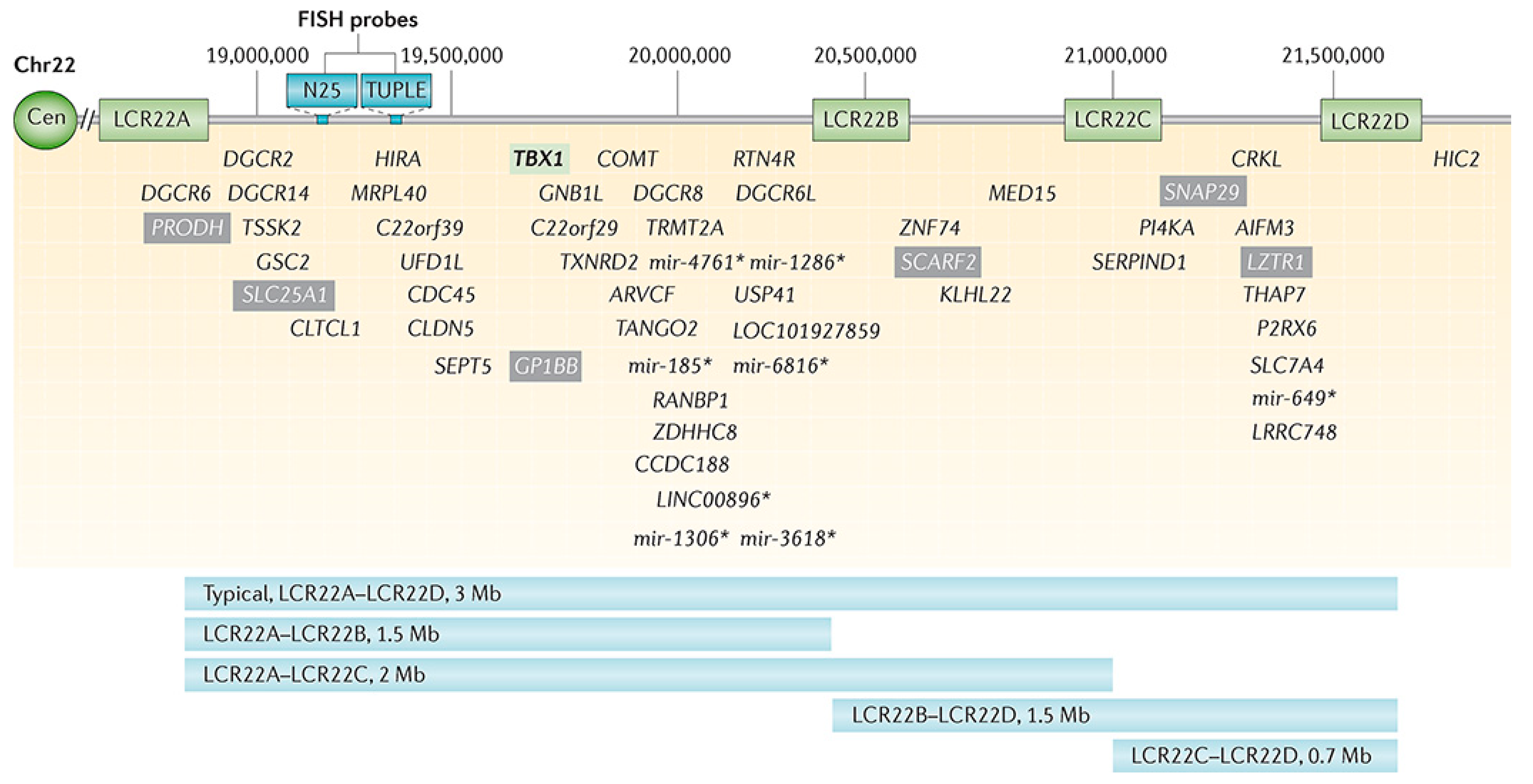 Healthcare 06 00083 g001