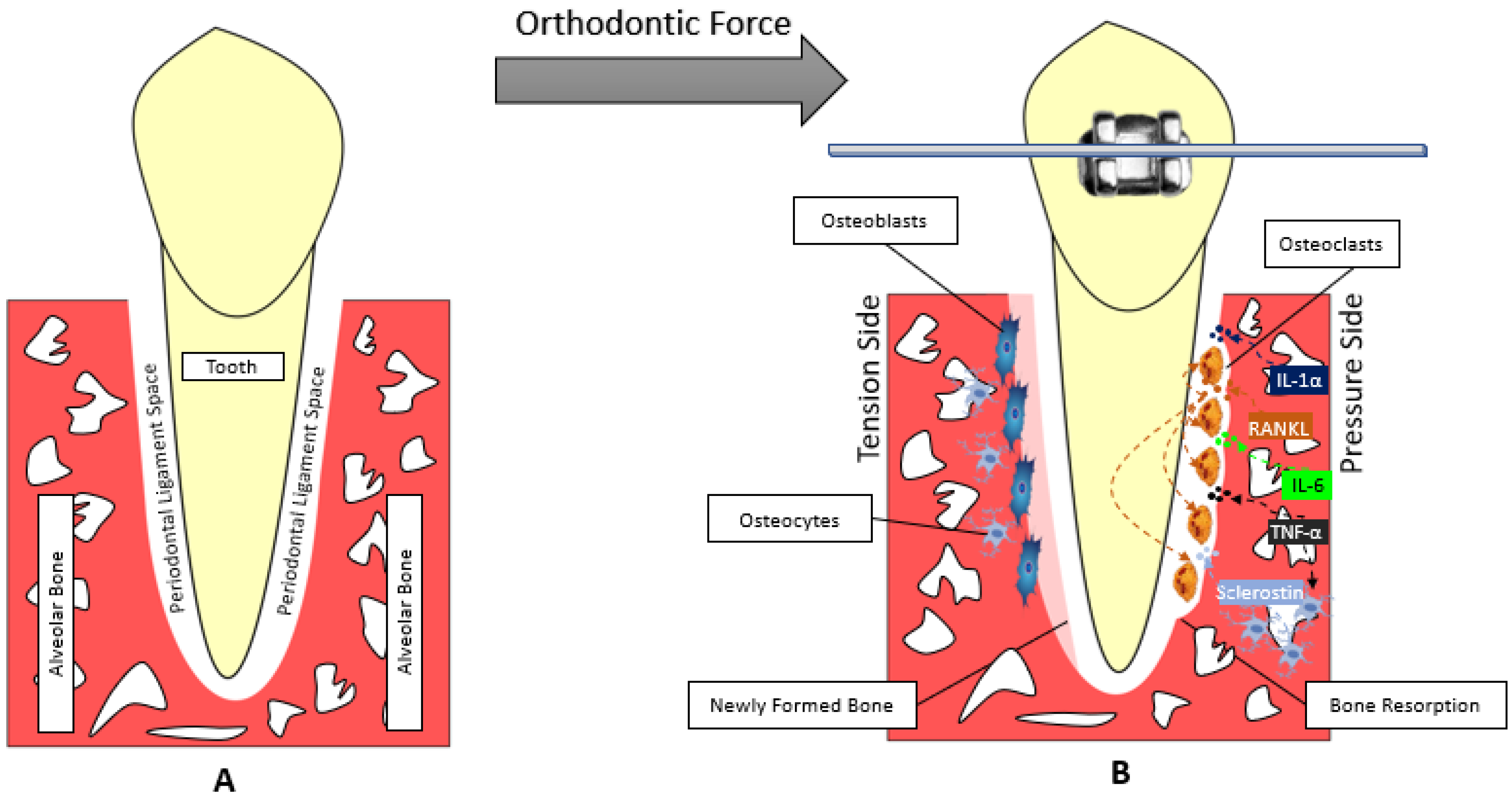 Healthcare 06 00134 g001