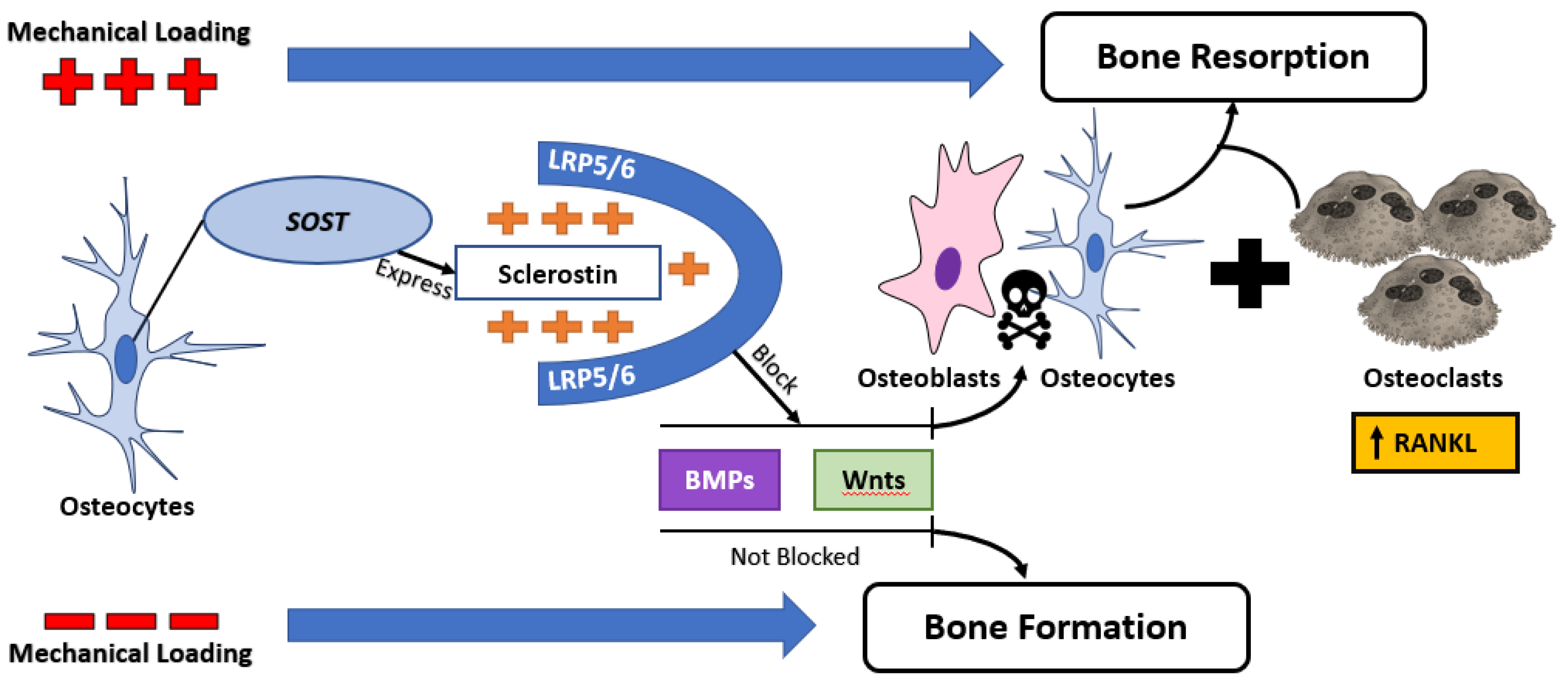 Healthcare 06 00134 g002