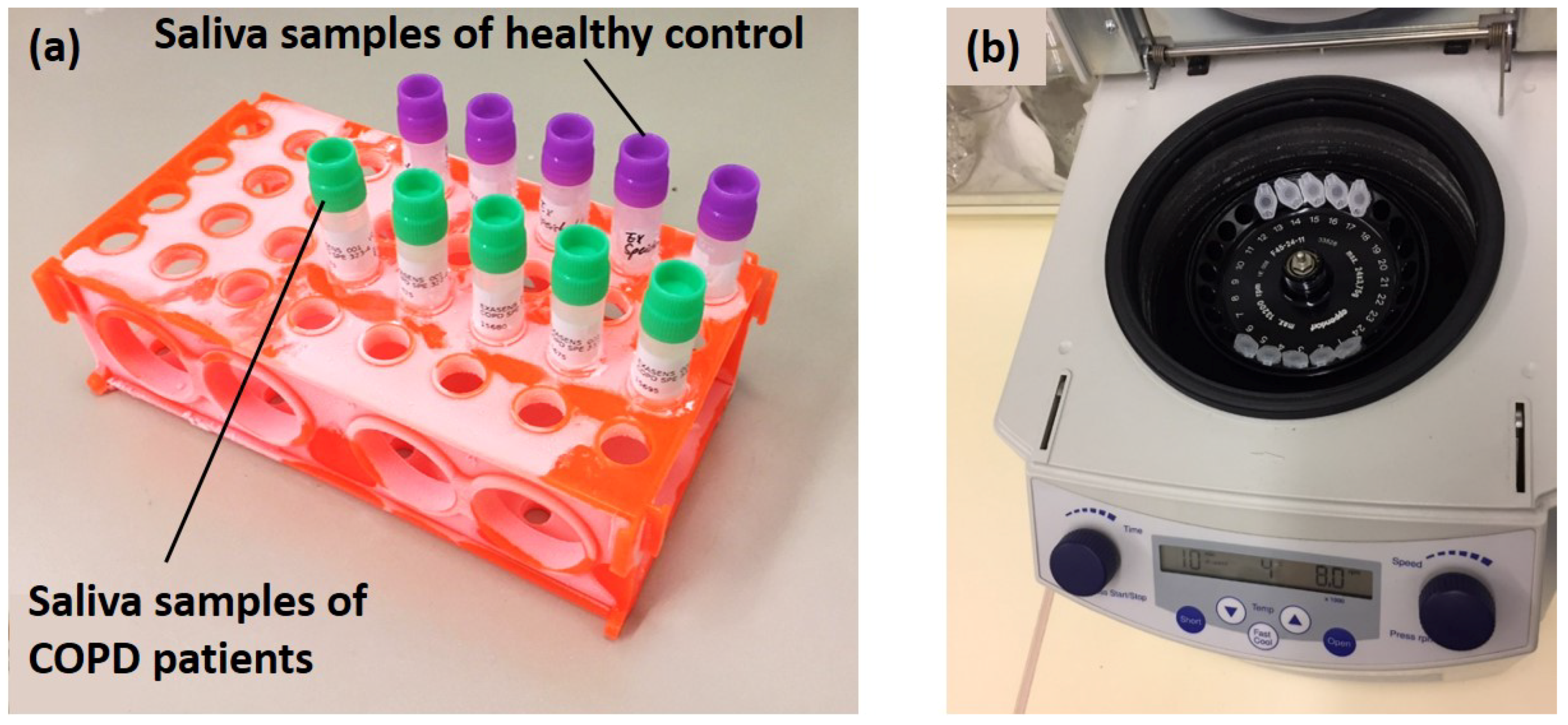 Healthcare 07 00011 g006
