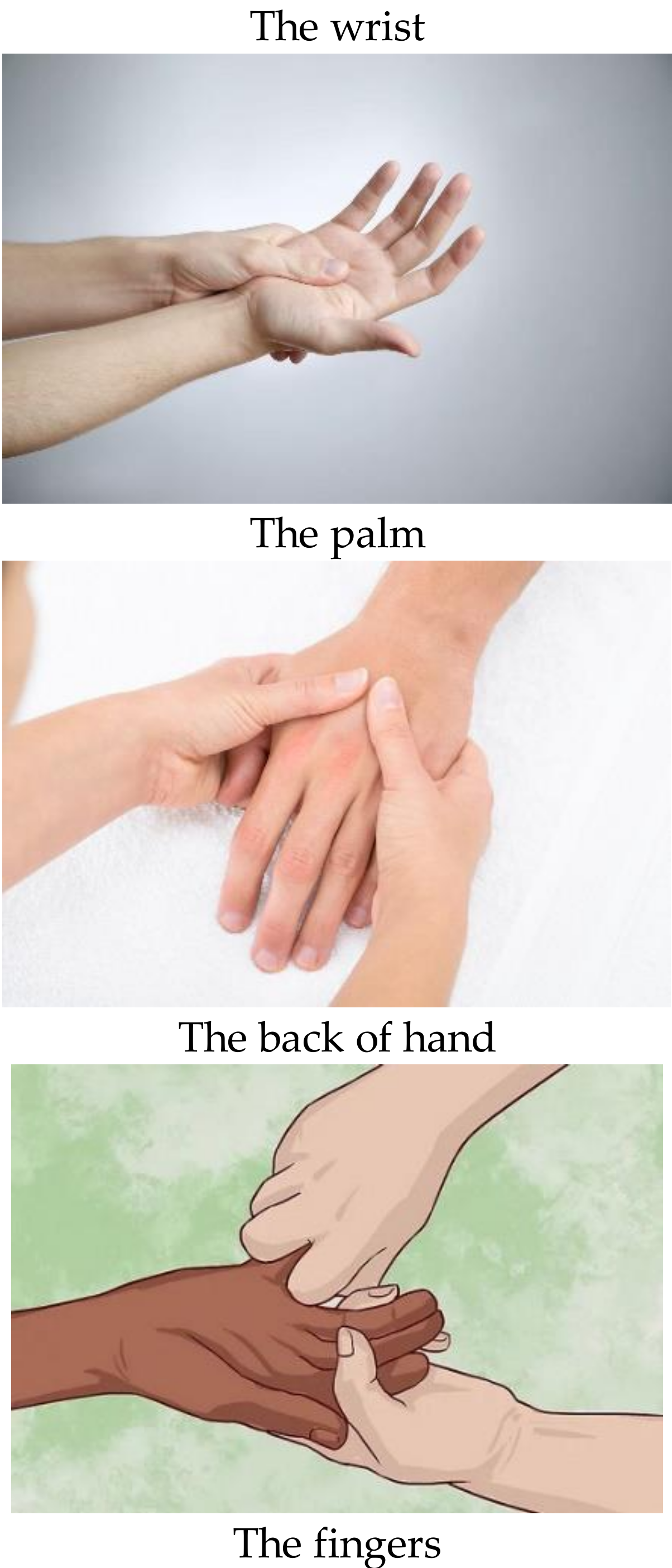 Healthcare 07 00026 g003b Healthcare 07 00026 g003b