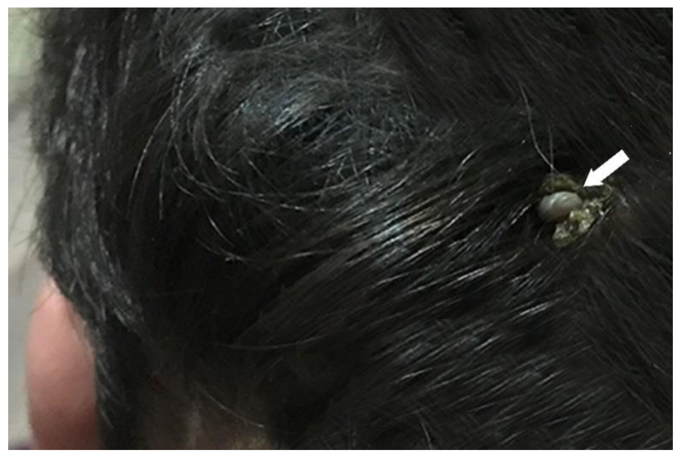 Healthcare 07 00046 g001