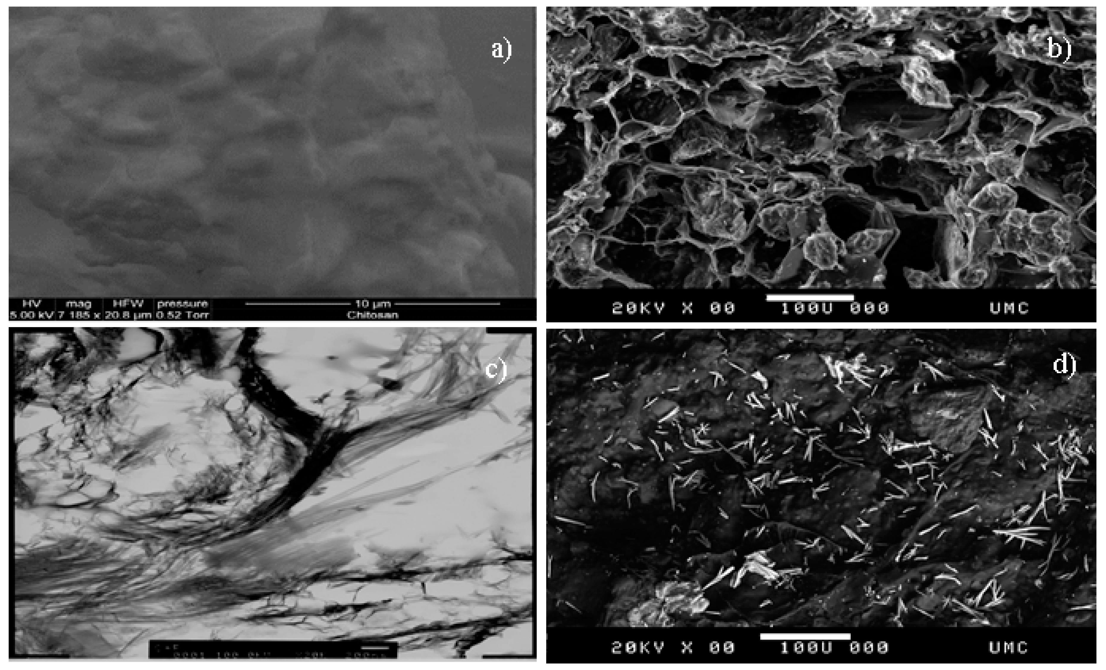 Healthcare 07 00052 g001