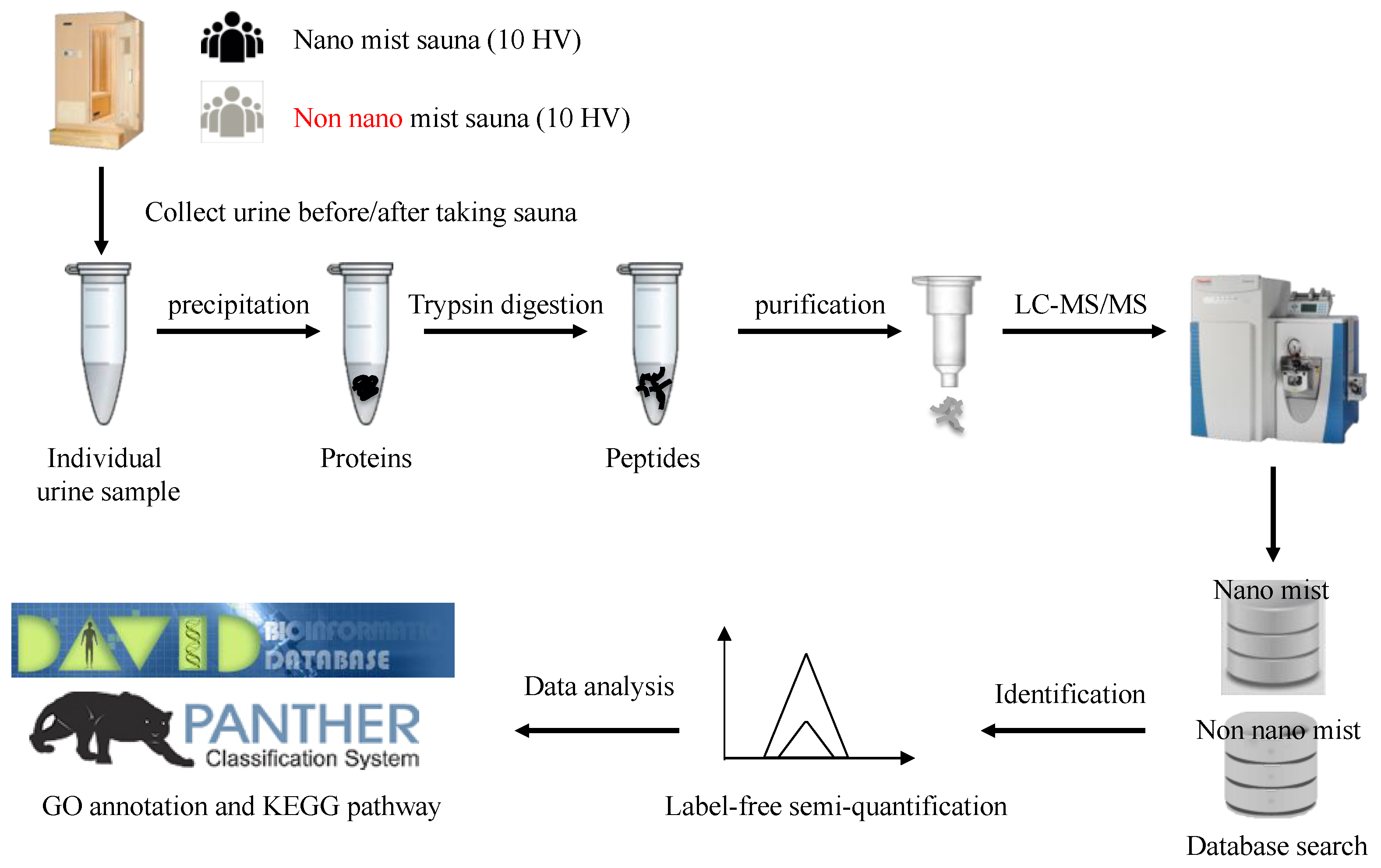 Healthcare 07 00071 g002 Healthcare 07 00071 g002