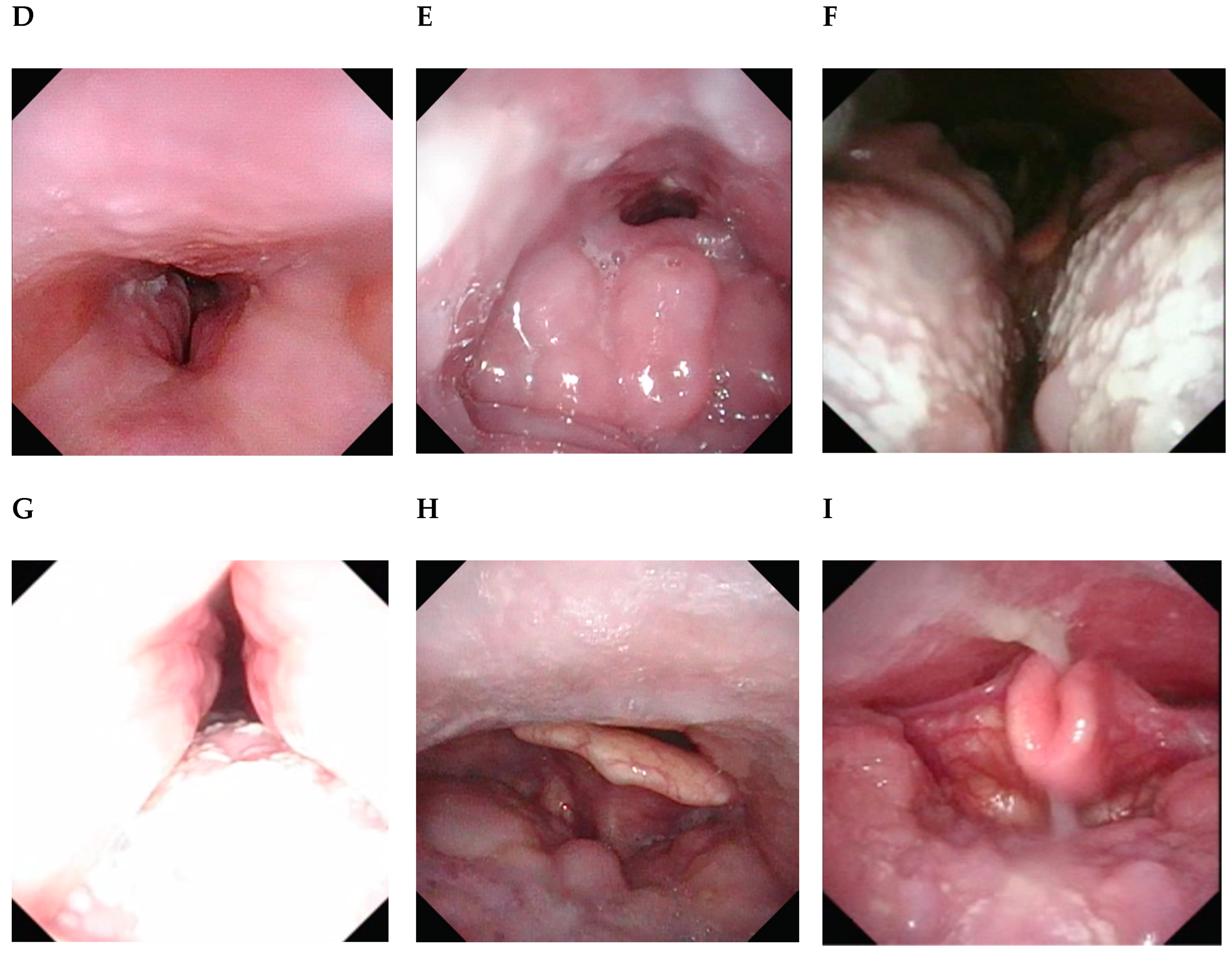 Healthcare 07 00093 g002b