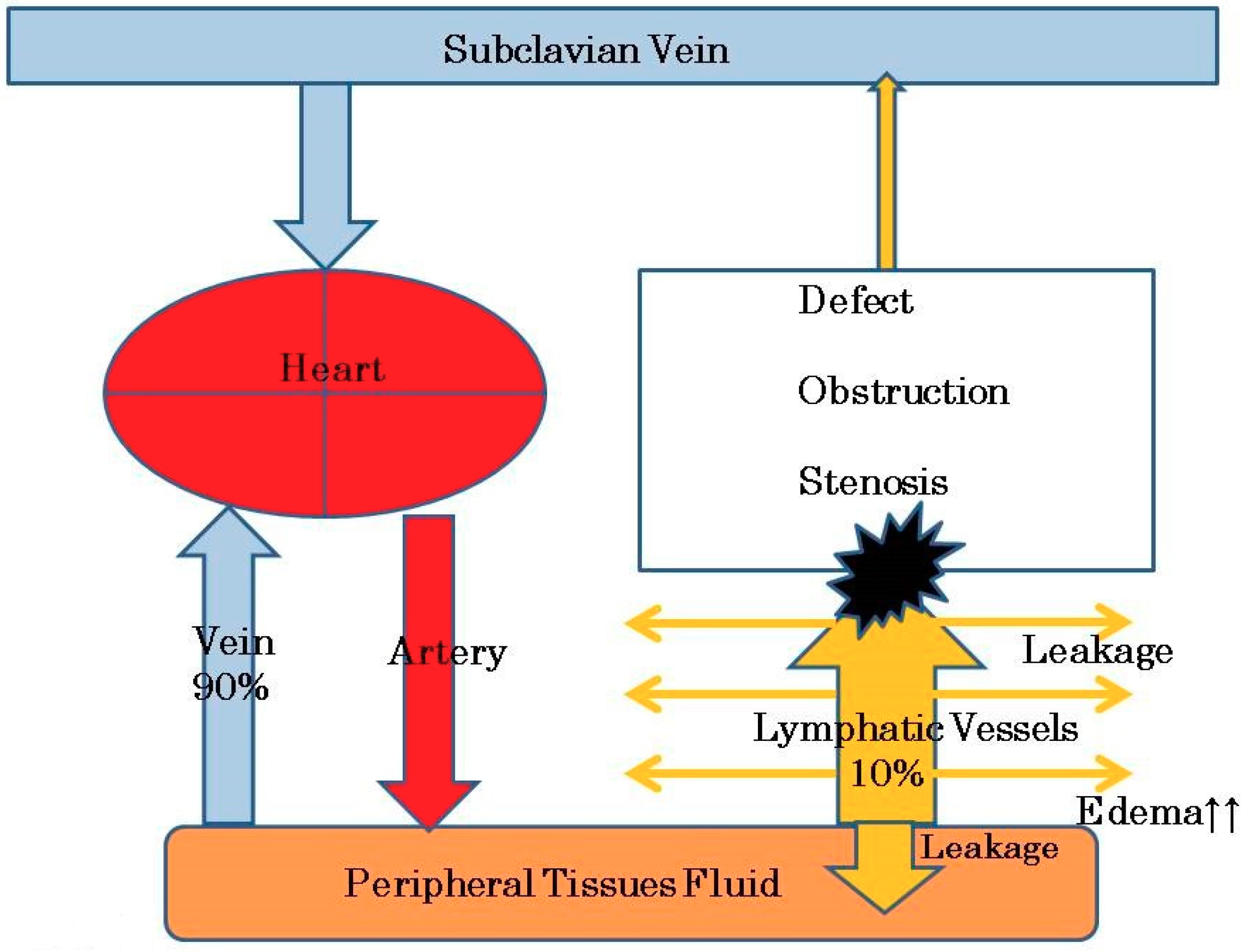 Healthcare 07 00101 g001