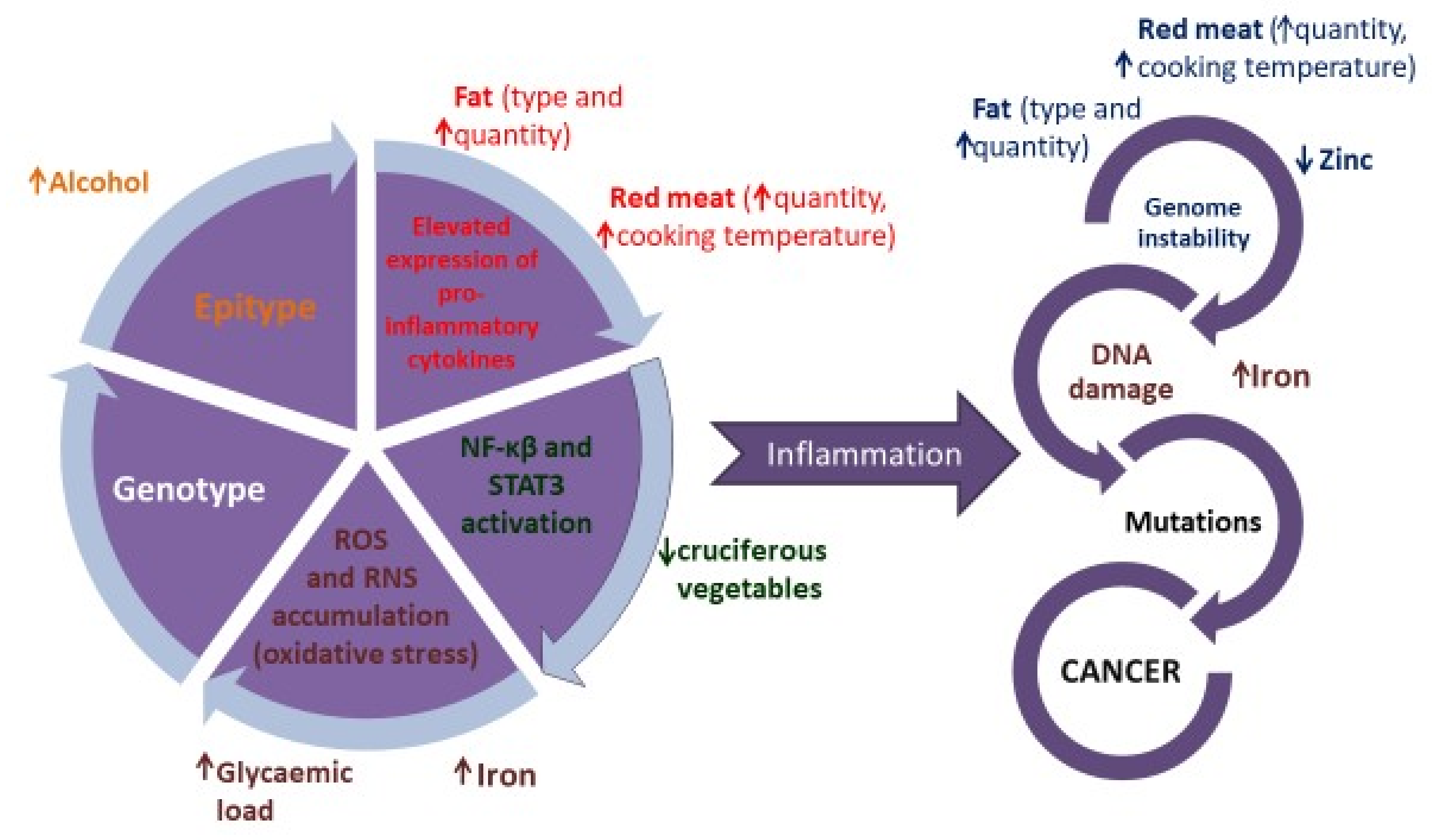 Healthcare 07 00104 g001