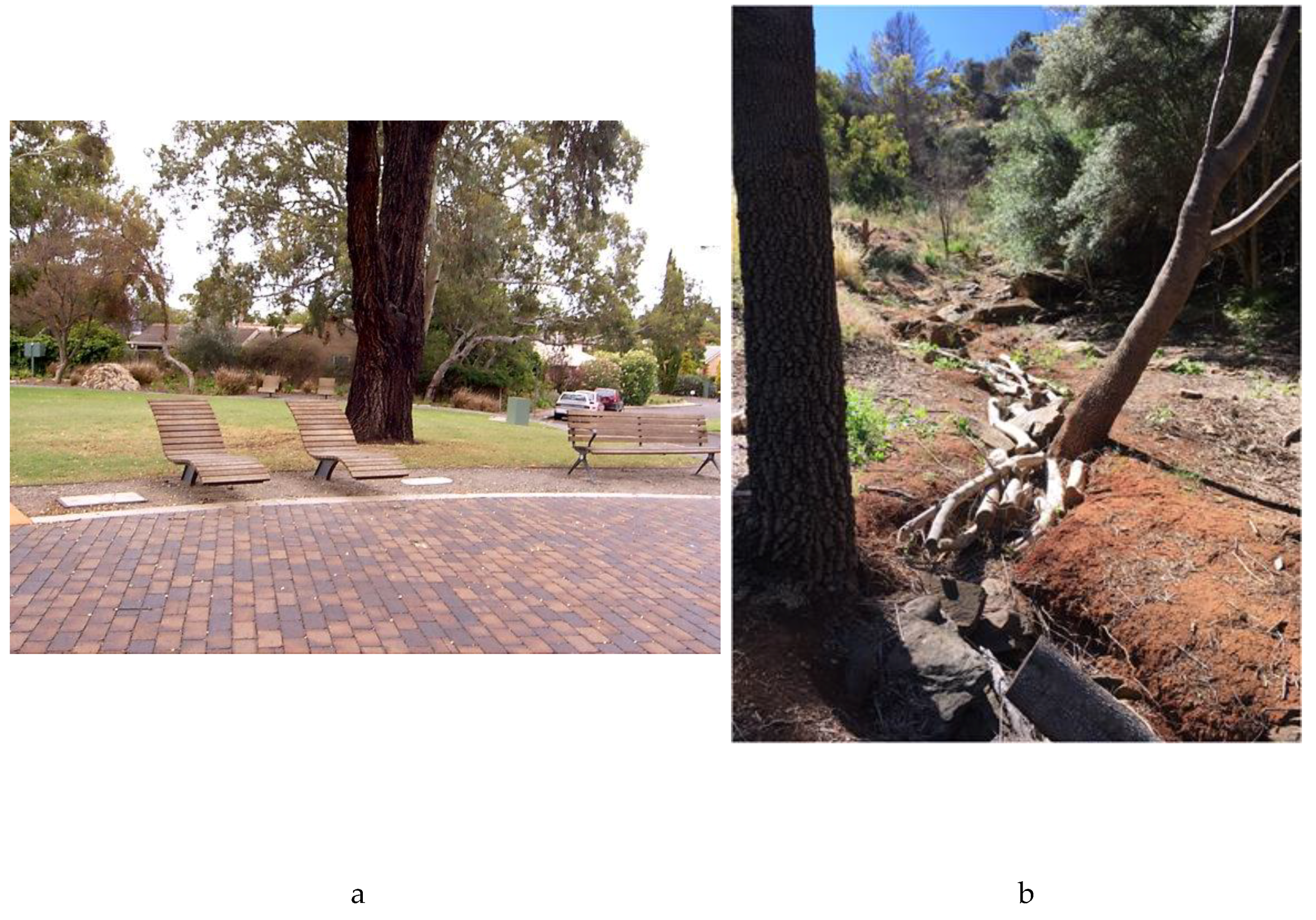 Healthcare 07 00126 g002