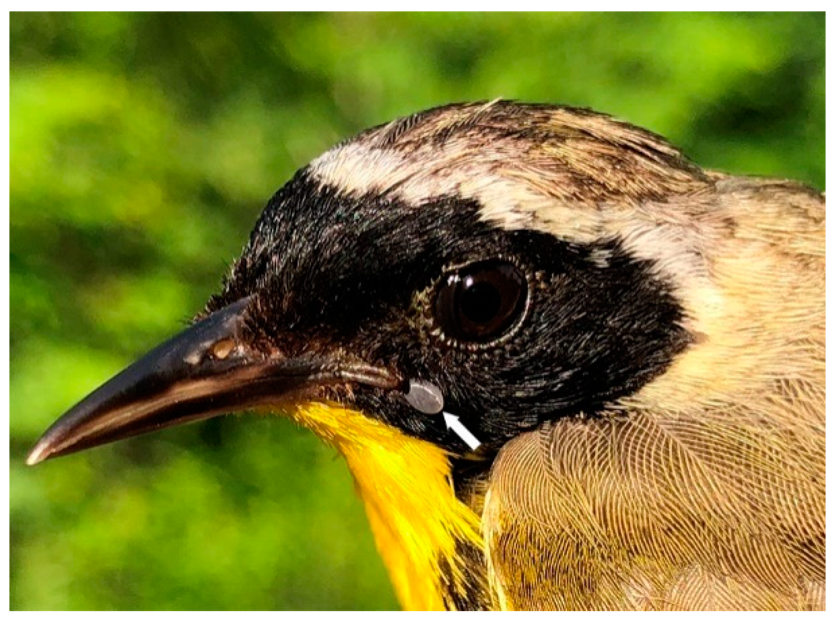 Healthcare 07 00155 g004