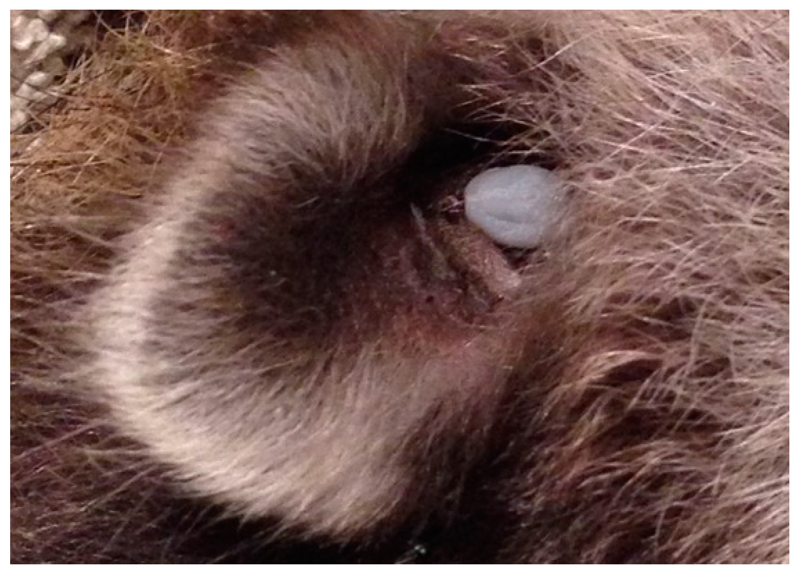 Healthcare 07 00155 g006