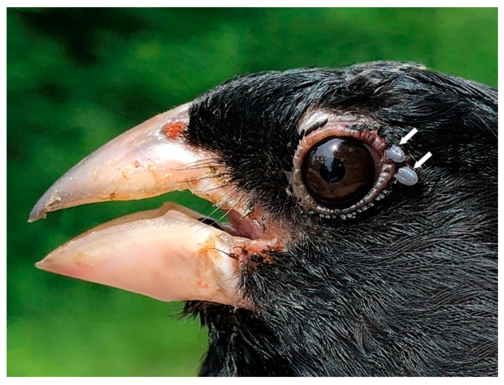 Healthcare 07 00155 g007