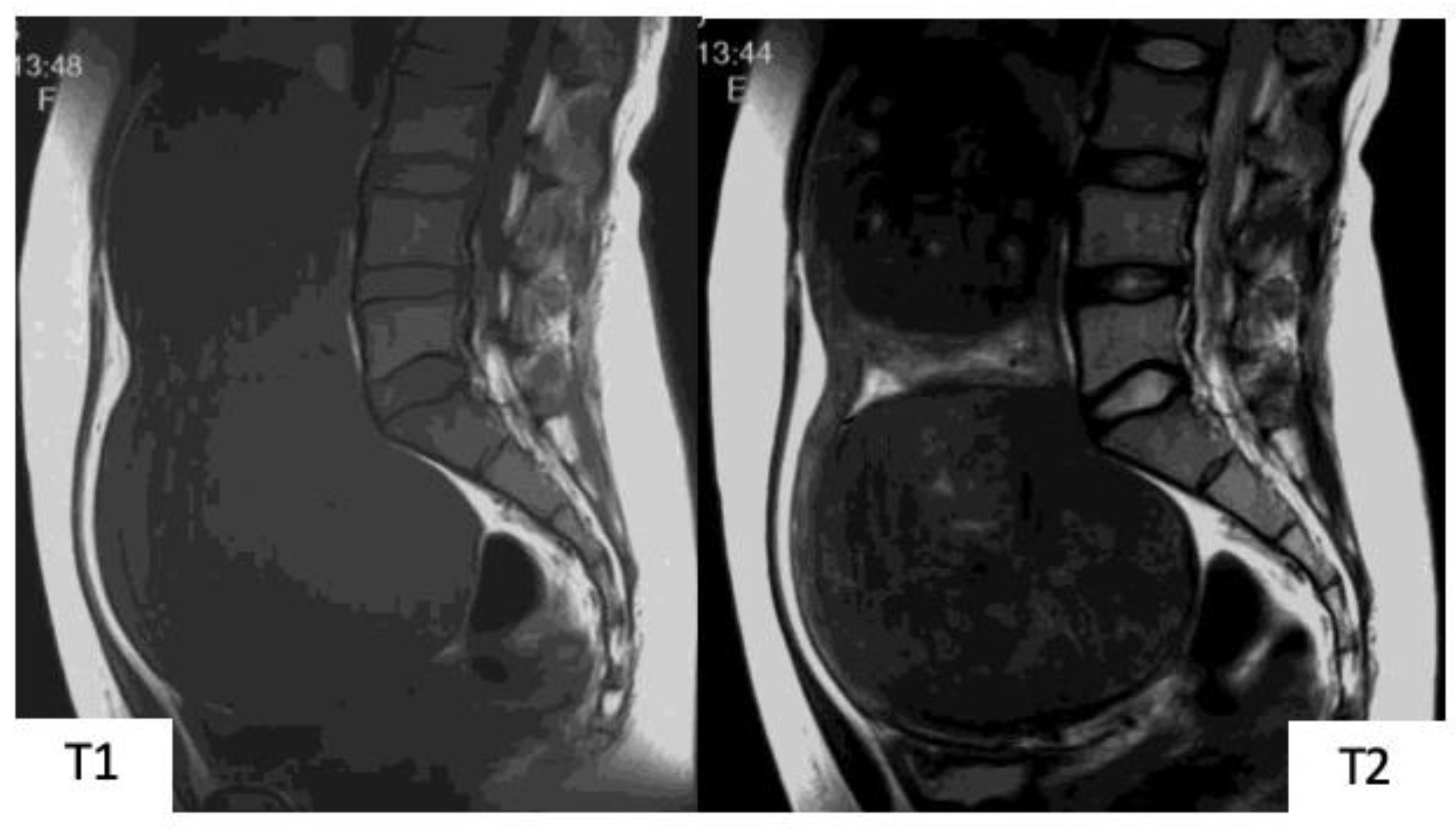 Healthcare 07 00158 g001