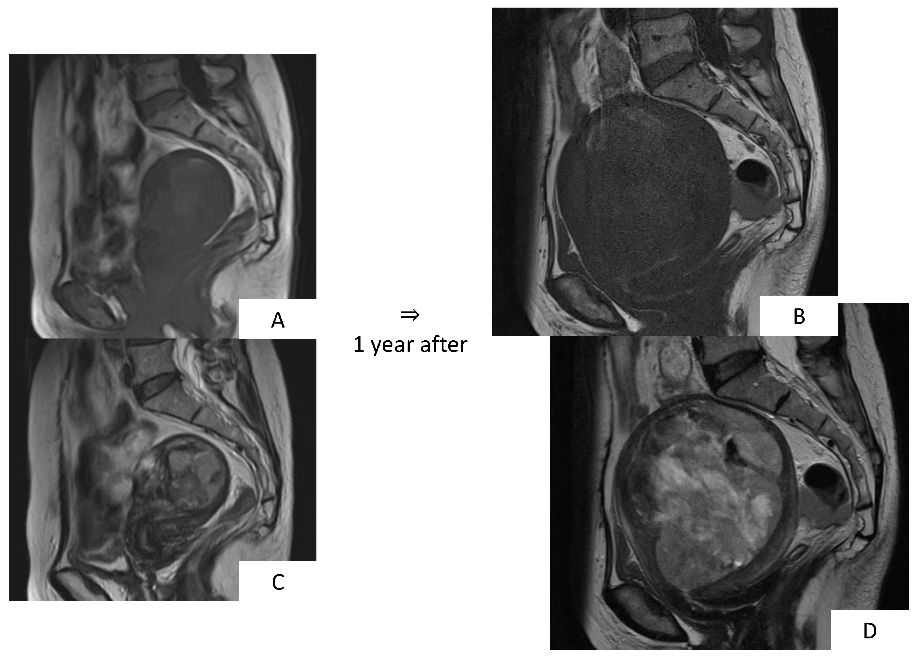 Healthcare 07 00158 g004